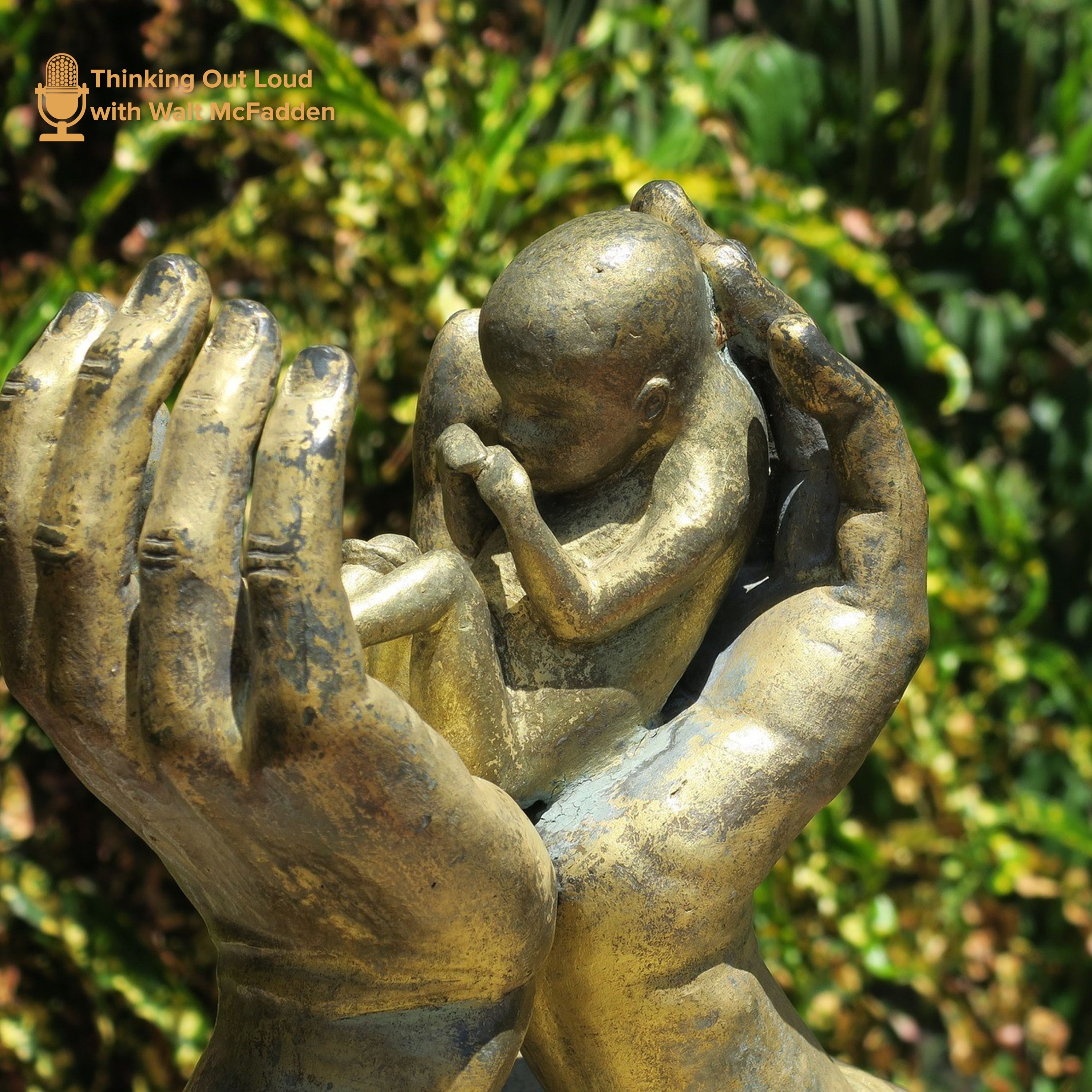 The Reality of Abortion