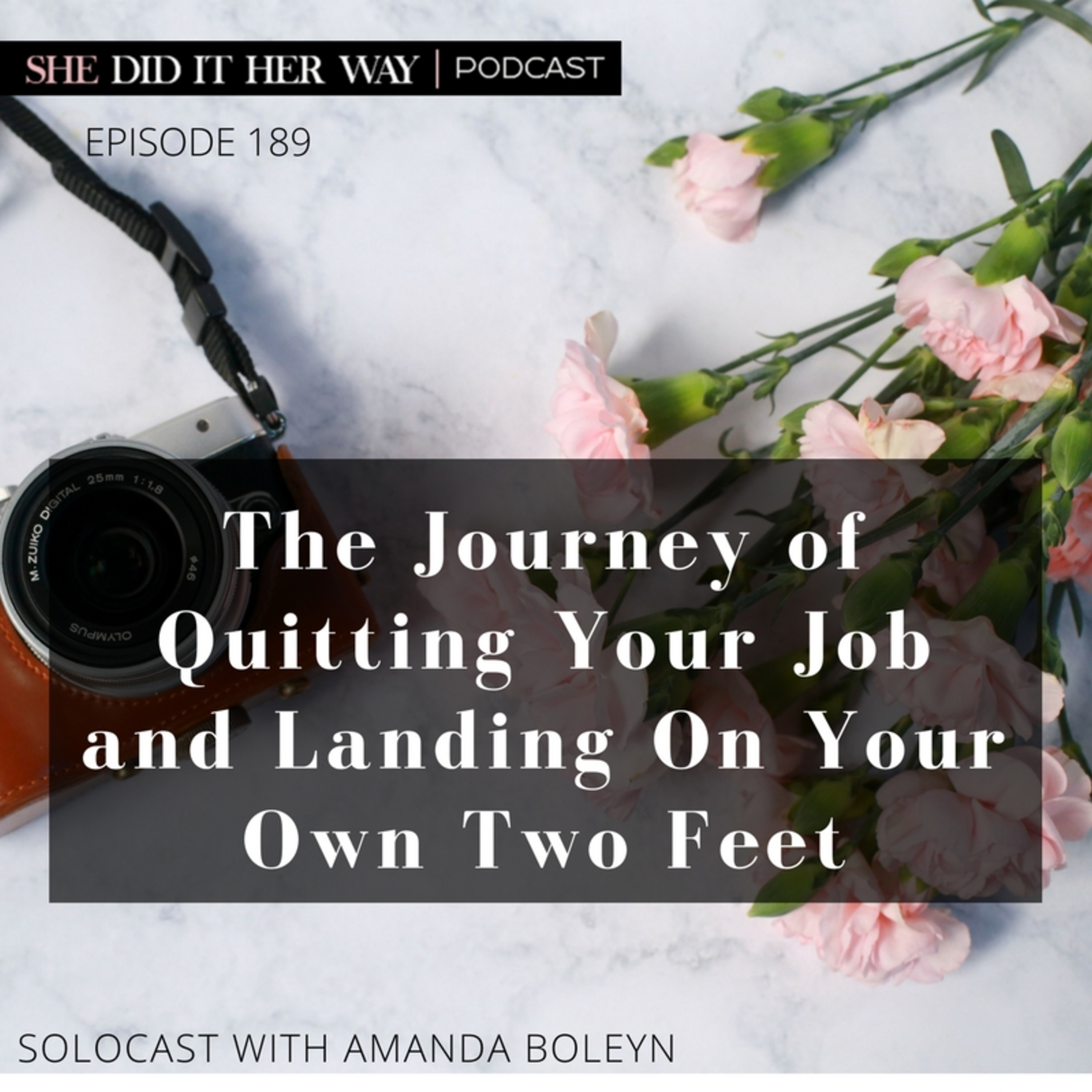 SDH189: The Journey of Quitting Your Job and Landing On Your Own Two Feet episode artwork