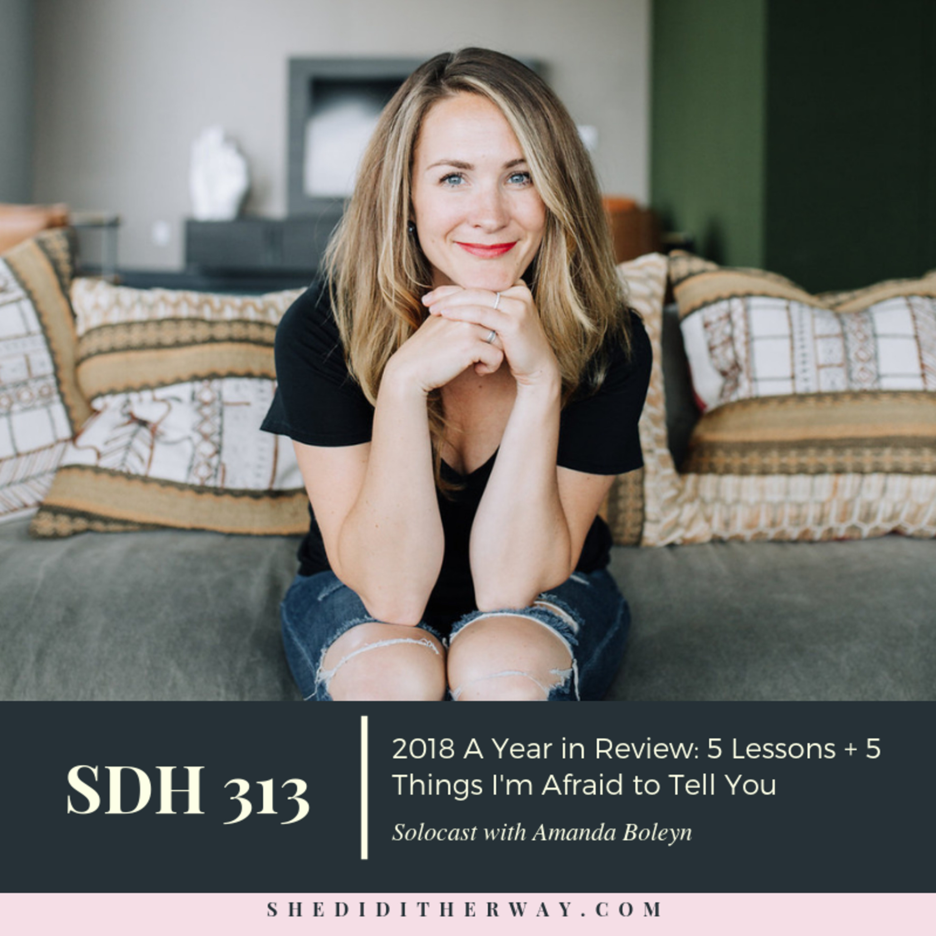 SDH 313: 2018 A Year in Review: 5 Lessons + 5 Things I'm Afraid to Tell You episode artwork