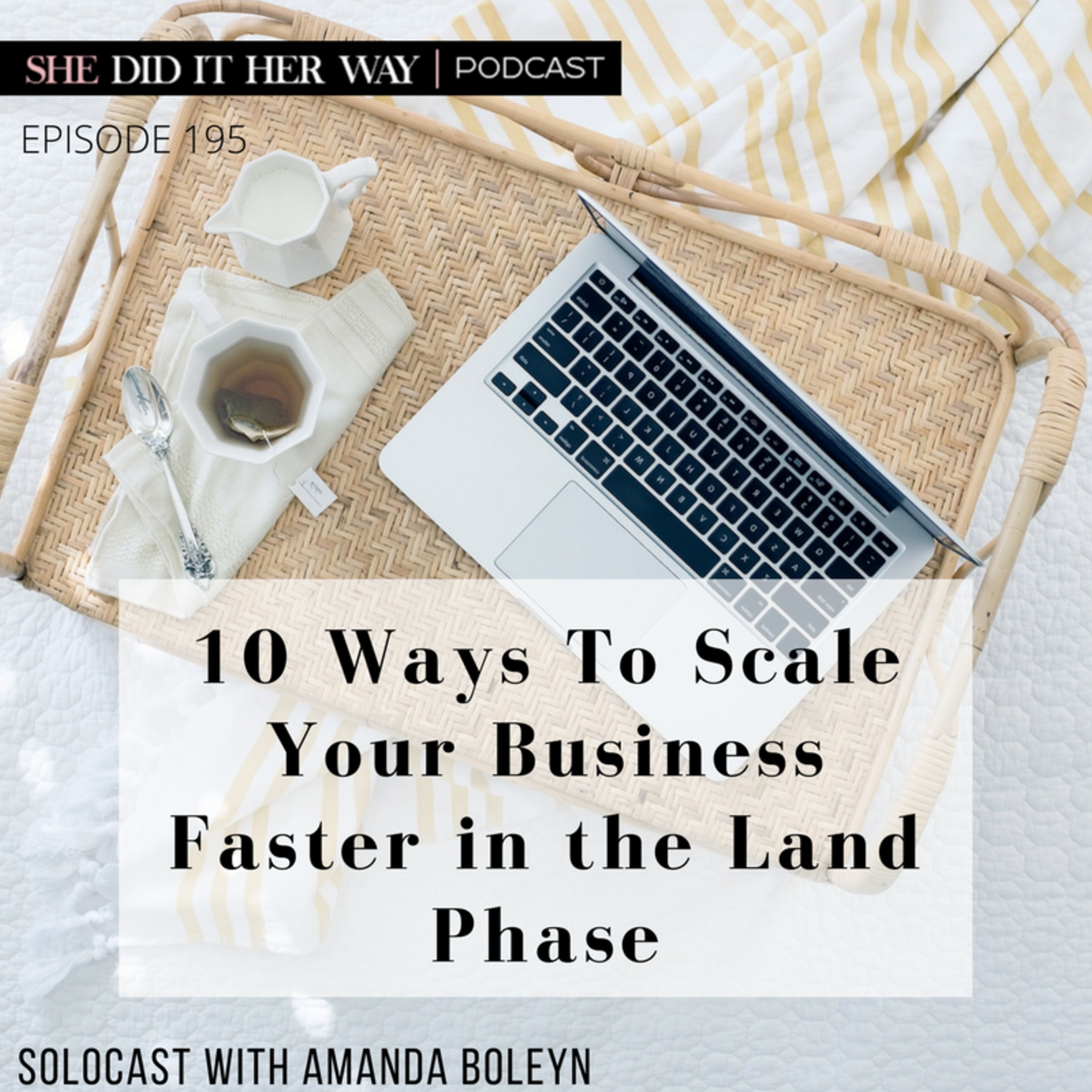 SDH 195: 10 Ways To Scale Your Business Faster in the Land Phase episode artwork