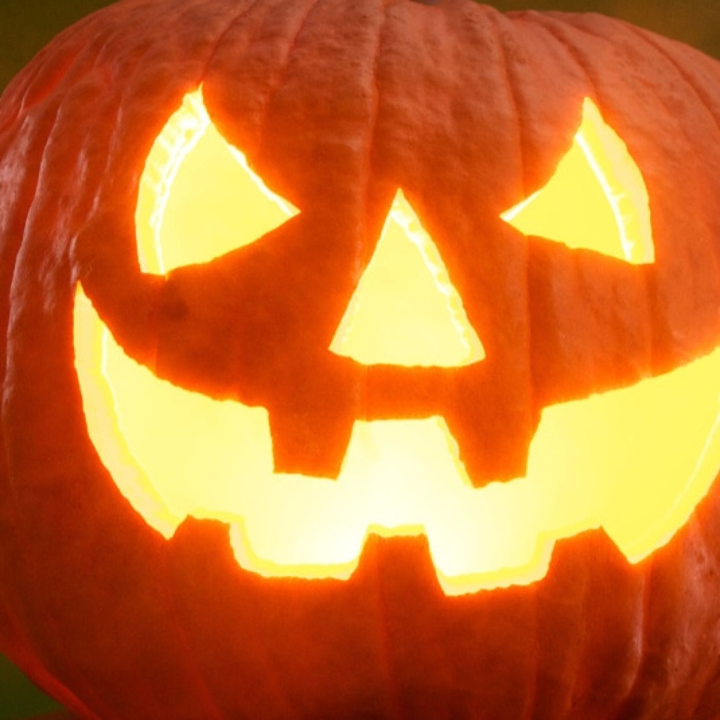 NOCHE DE BRUJAS / HALLOWEEN - Cap #8 La Orden De La Noche