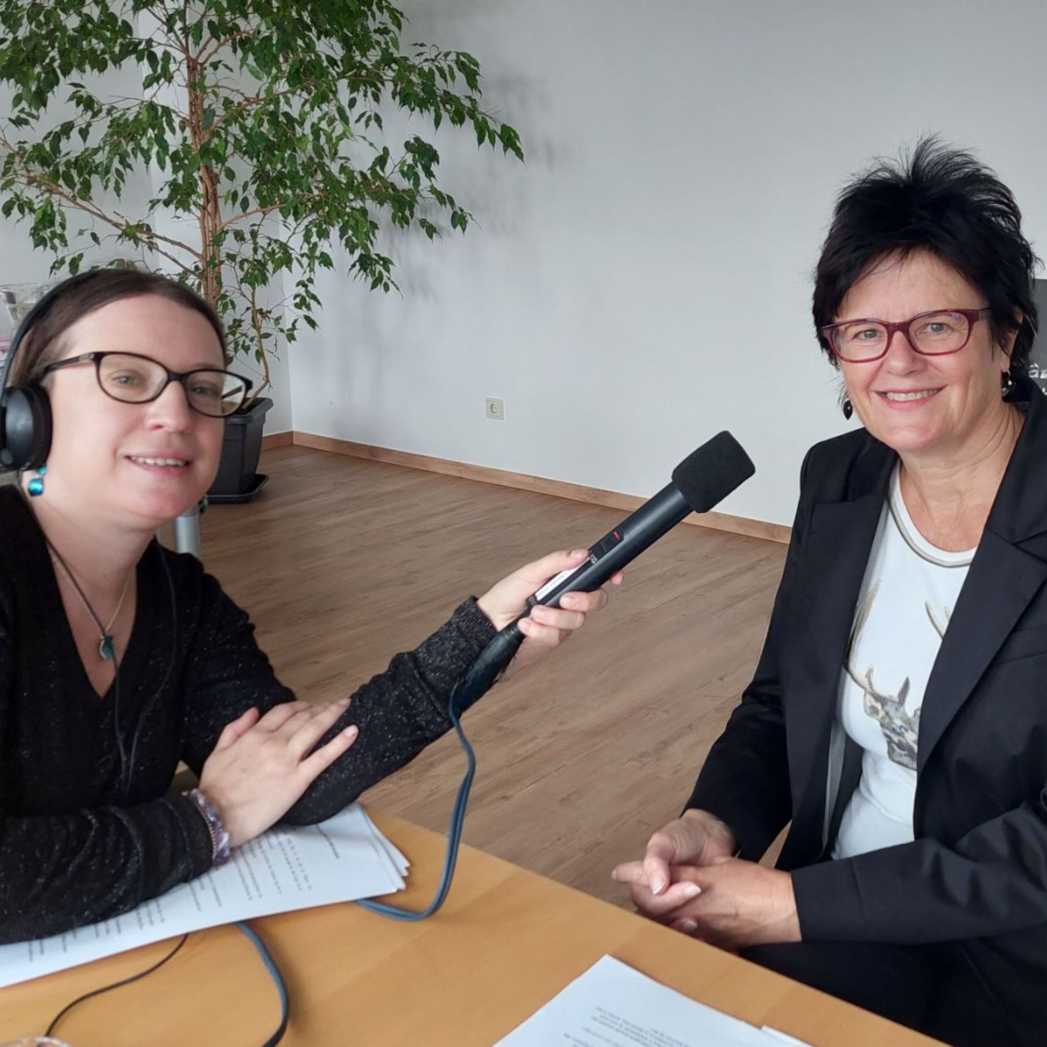 Dabei sein im Arbeitsleben - Chancen für alle! Der Podcast von dabei-austria.