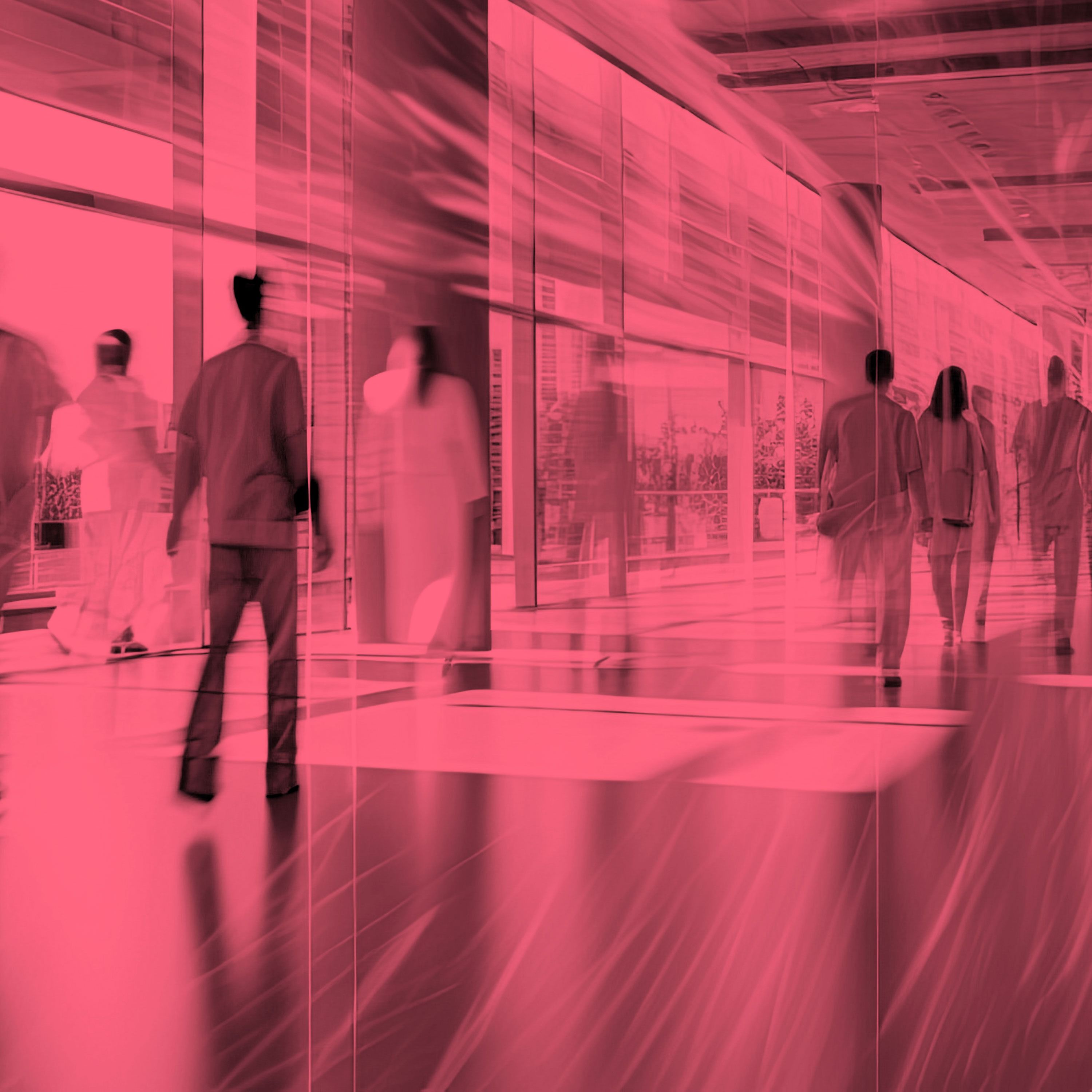 Rotman Executive Summary