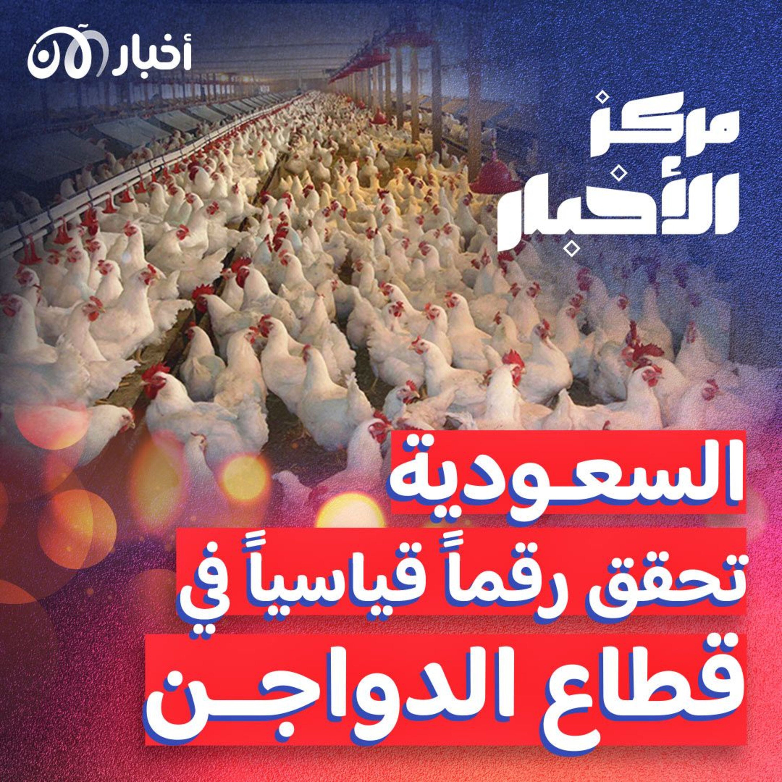 السعودية تحقق رقماً قياسياً في قطاع الدواجن episode artwork