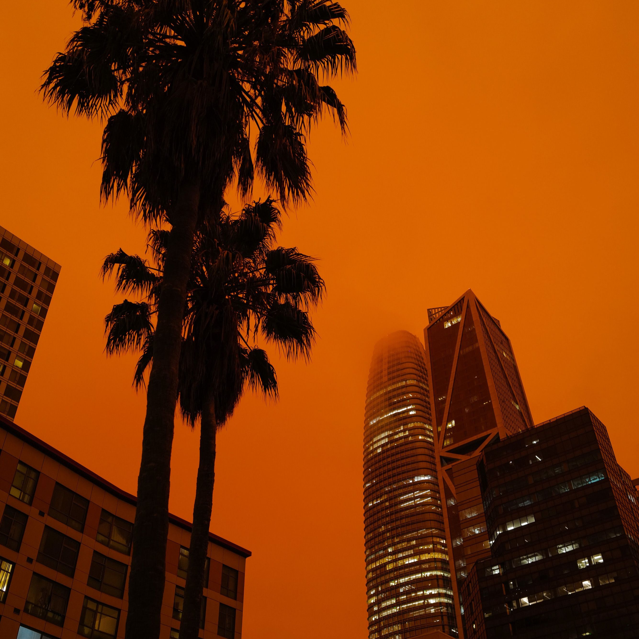 Fire in the West 2020