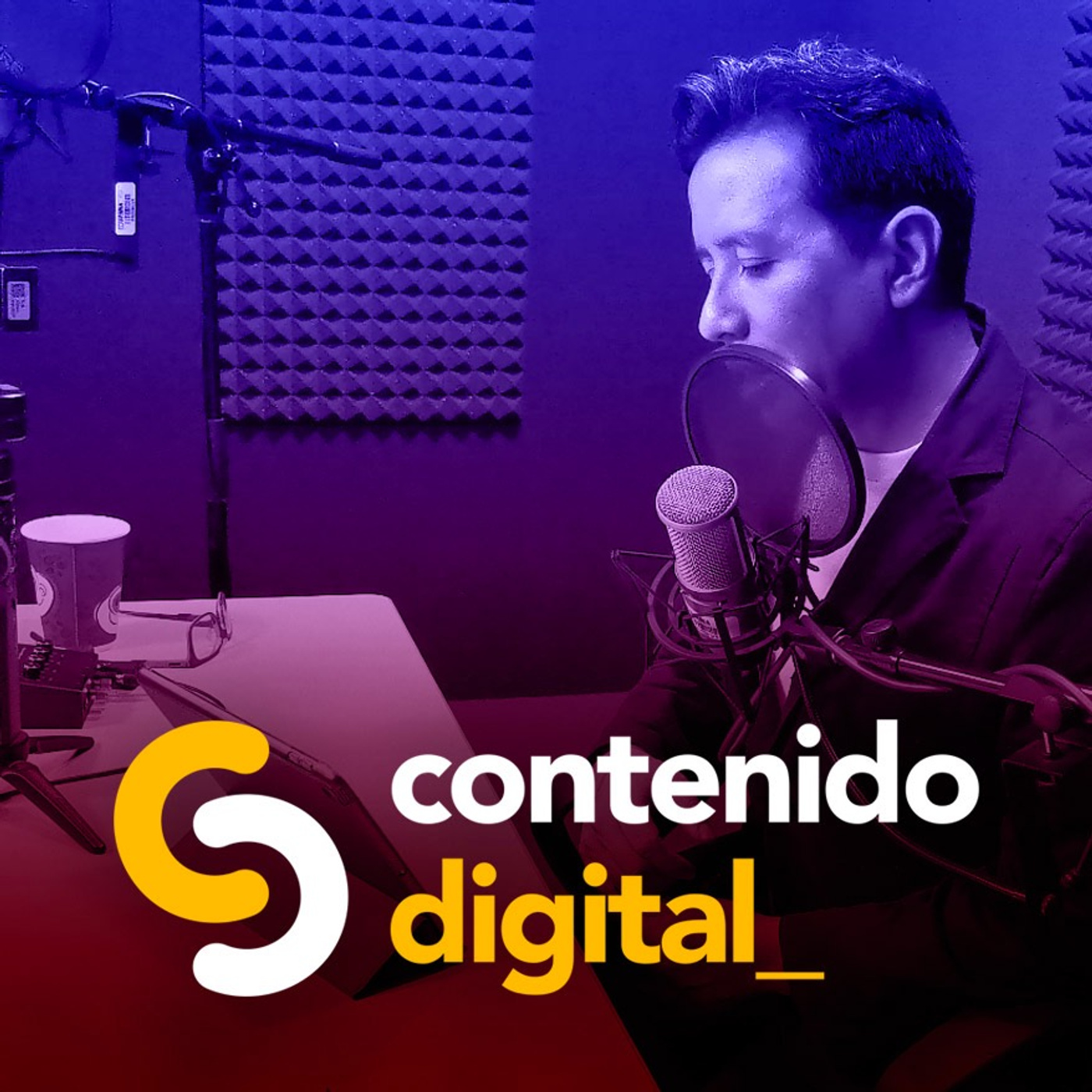 Contenido Digital