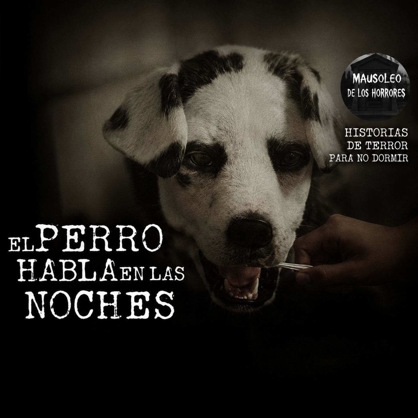 RELATOS DE ANIMALES ACTUANDO COMO HUMANOS VOL. 2 | HISTORIAS DE TERROR