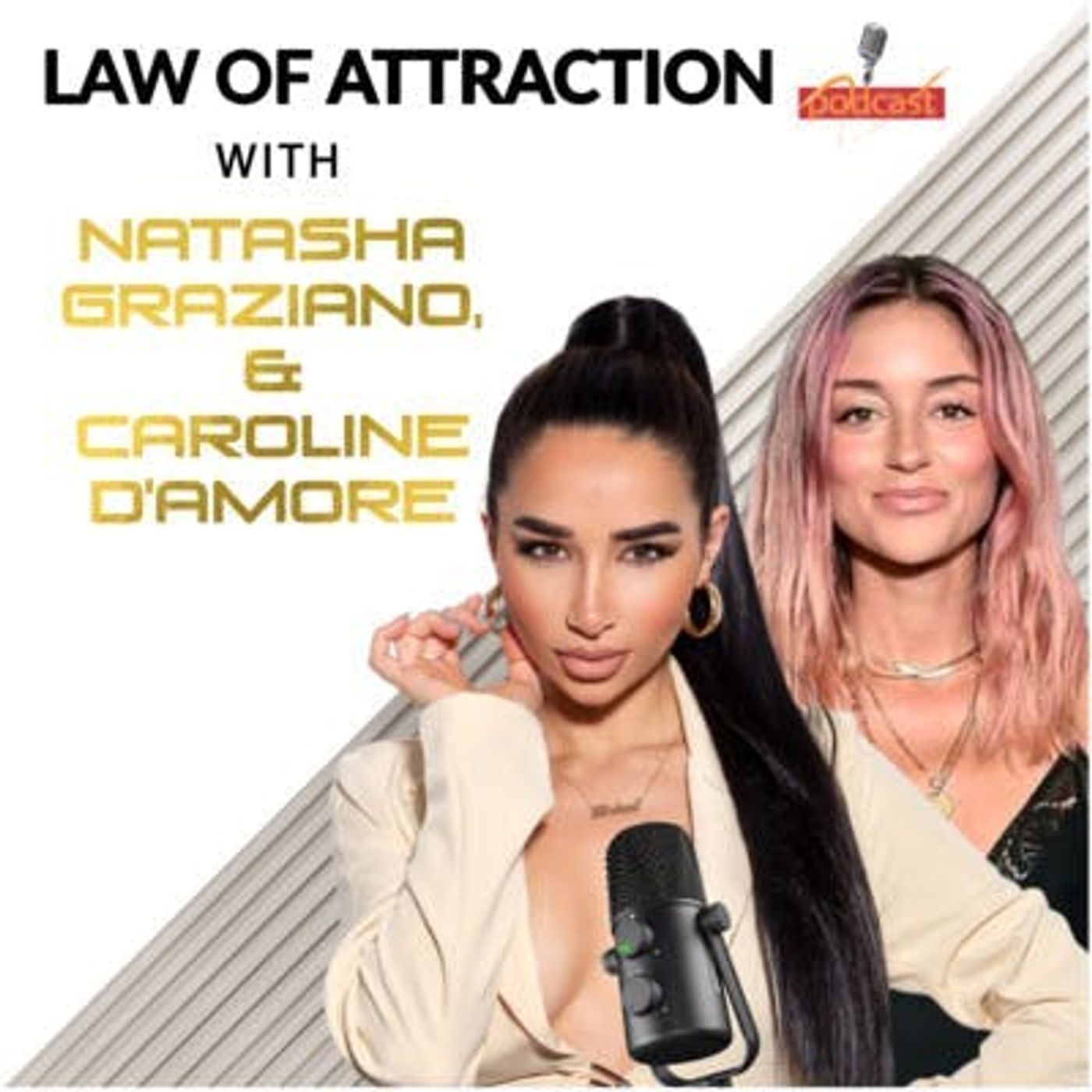 Law of Attraction SECRETS