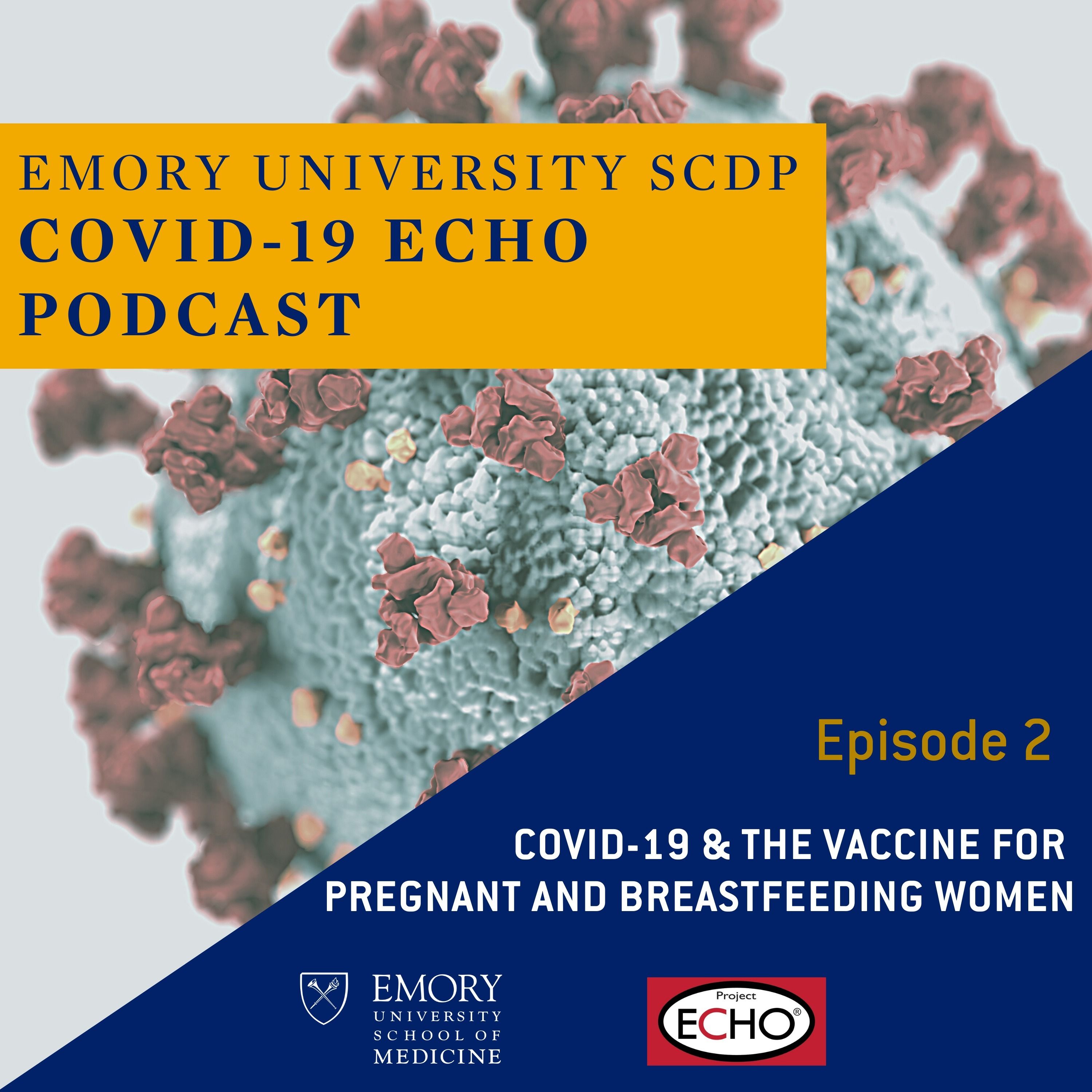 COVID-19 and the Vaccine for Pregnant and Breastfeeding Women