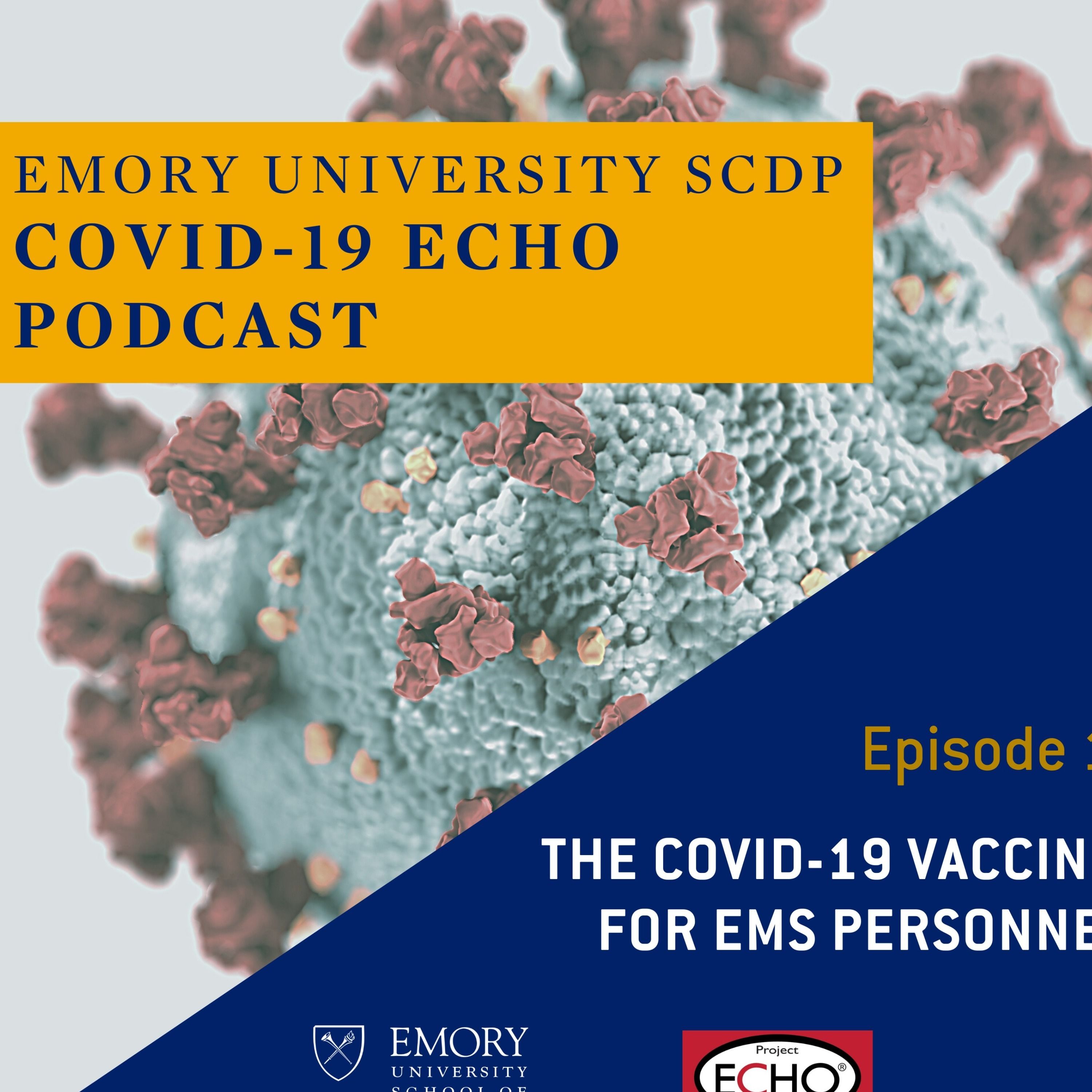 The COVID-19 Vaccine for EMS Personnel