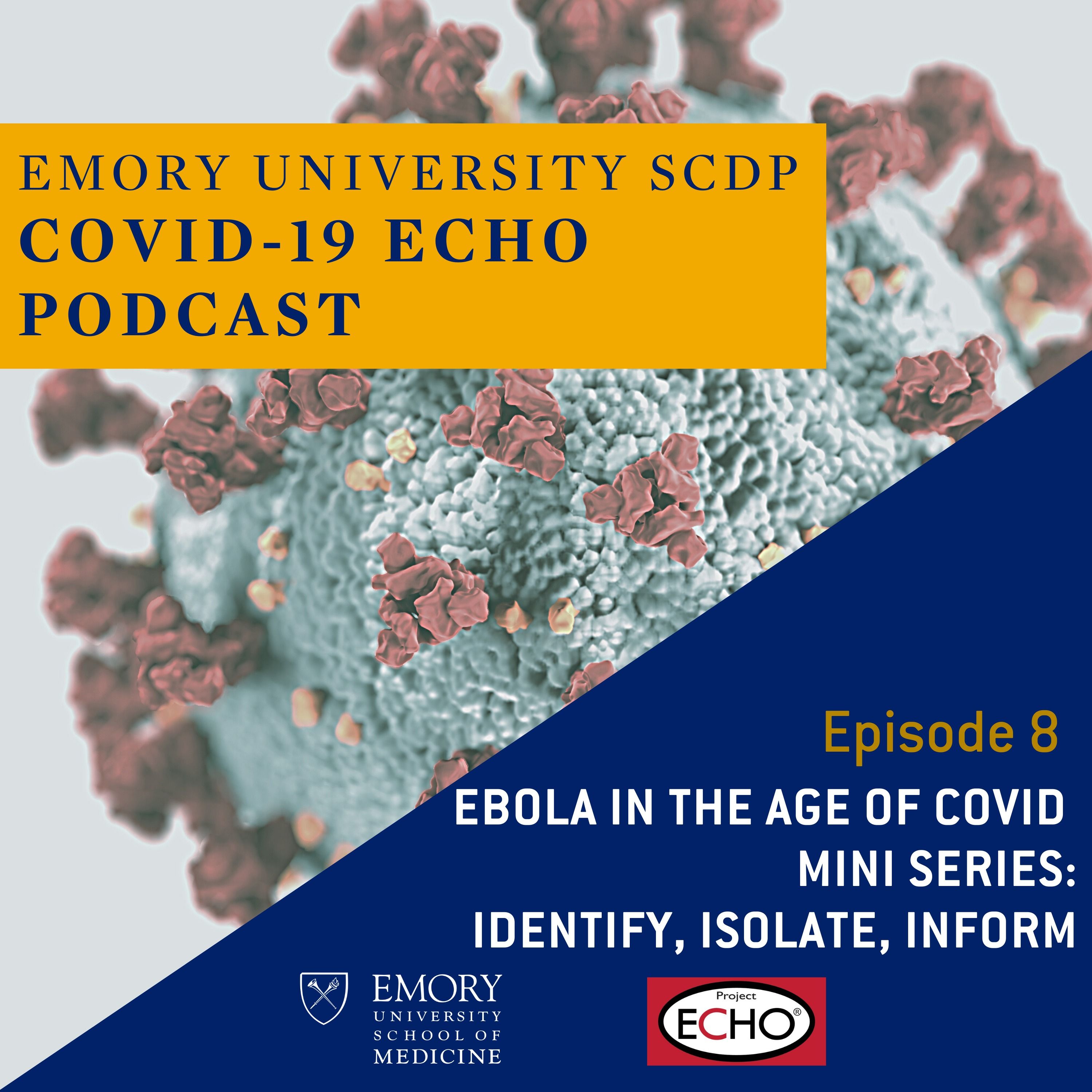 Ebola in the Age of COVID: Identify, Isolate, Inform