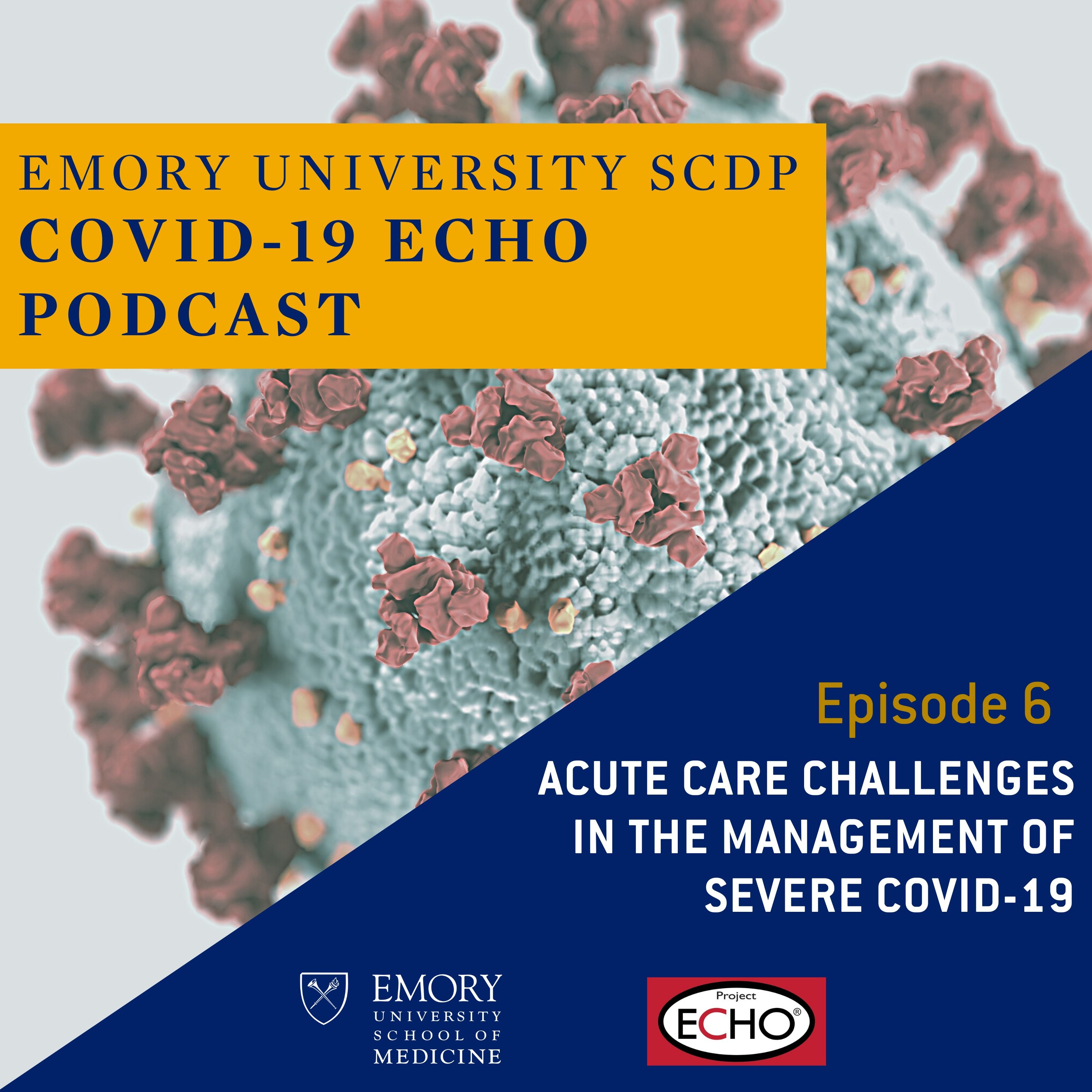Acute Care Challenges in the Management of Severe COVID-19