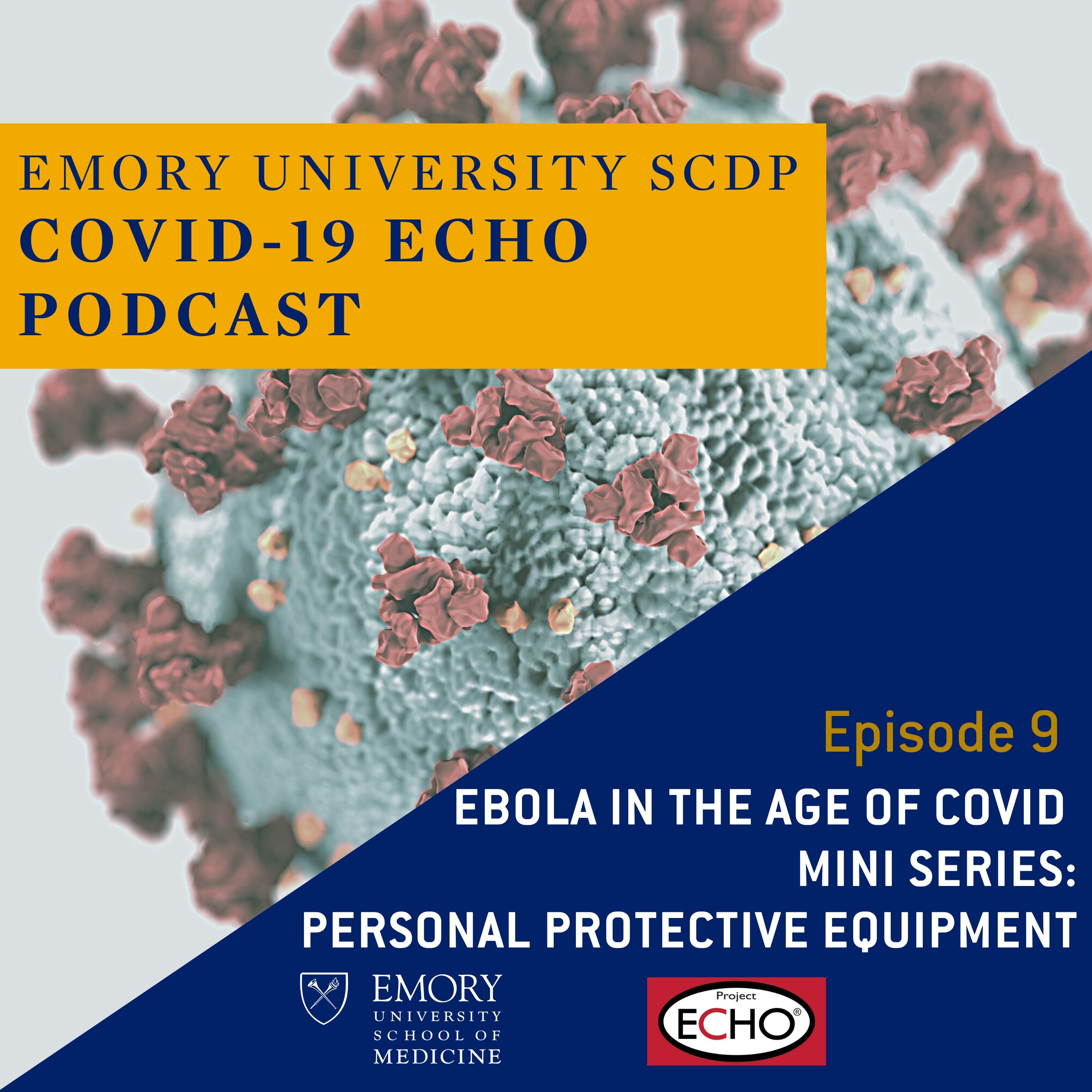 Ebola in the Age of COVID: Personal Protective Equipment