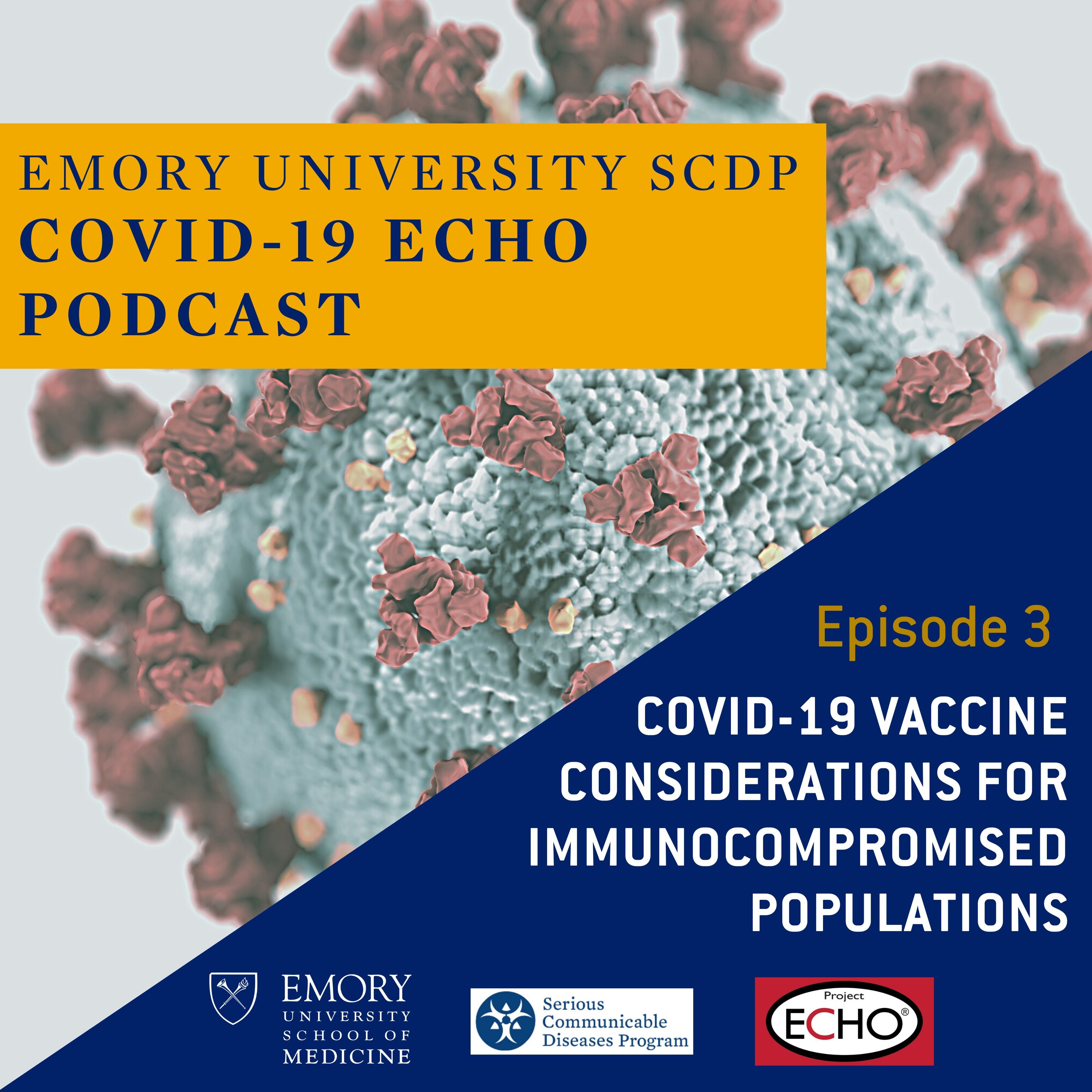 COVID-19 Vaccine Considerations for Immunocompromised Populations