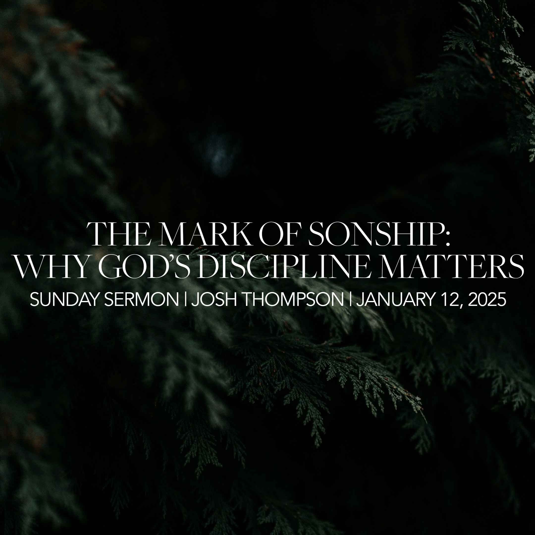The Mark of Sonship: Why God's Discipline Matters
