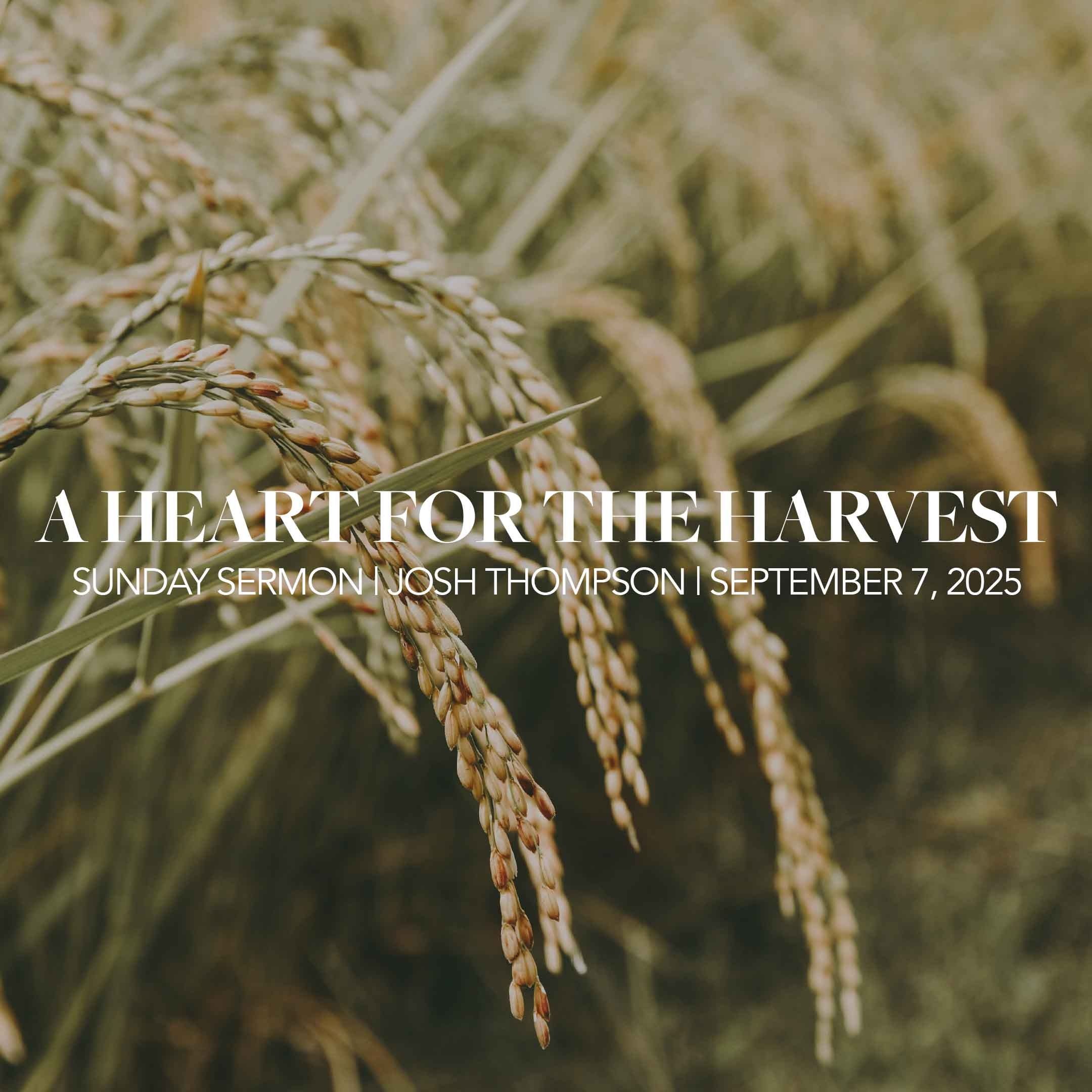 A Heart for the Harvest