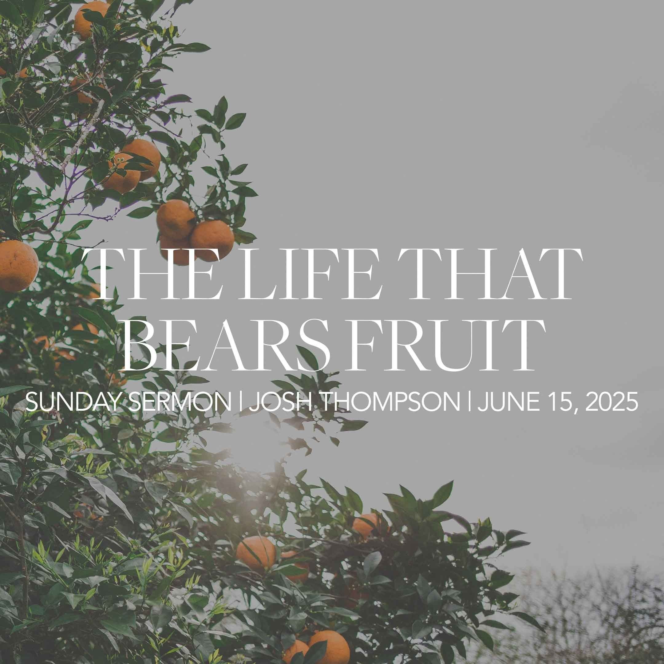 The Life That Bears Fruit