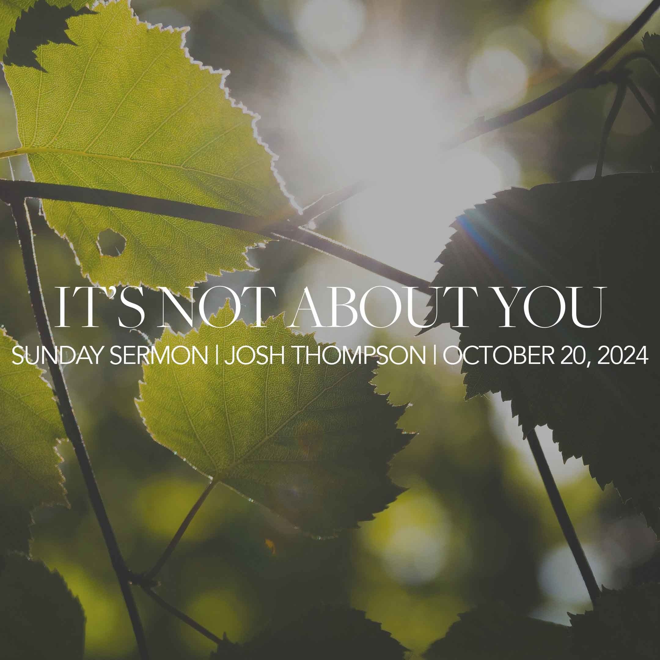 It's Not About You