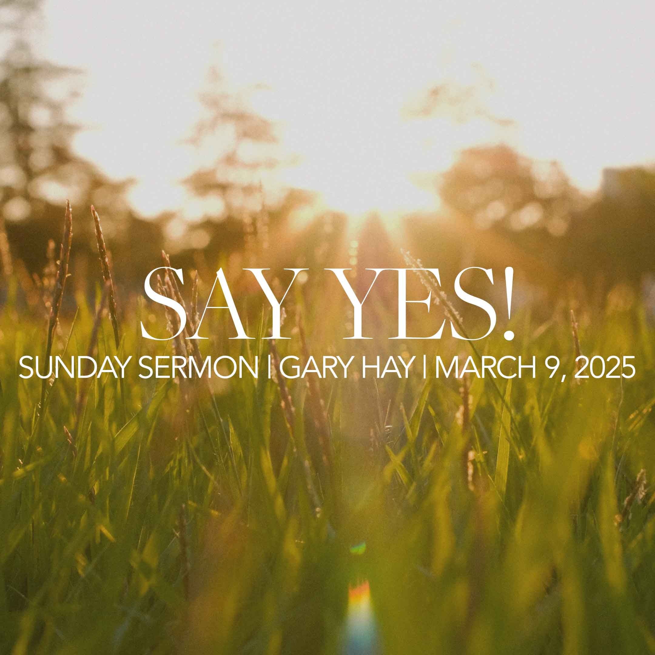 SAY YES!