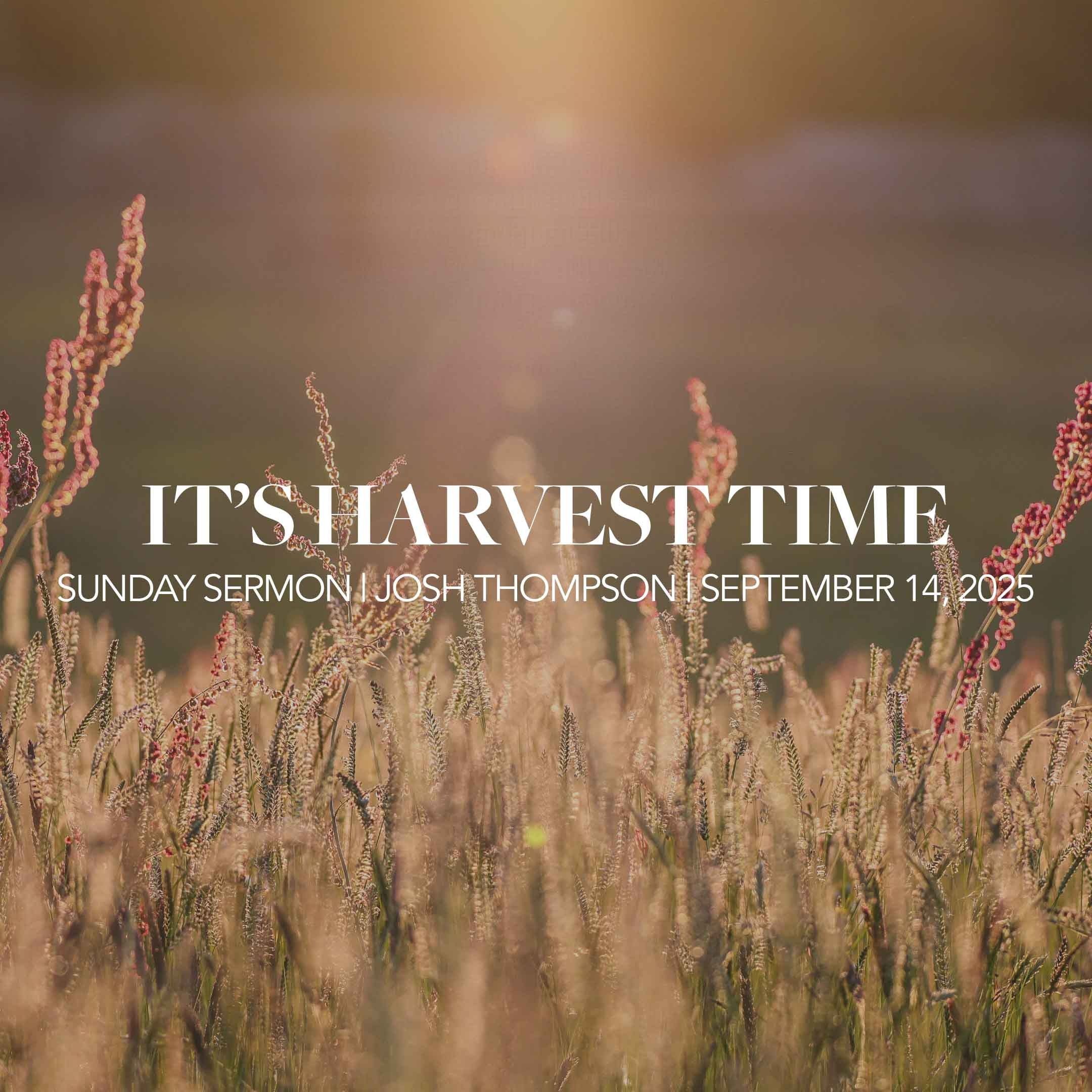 It's Harvest Time