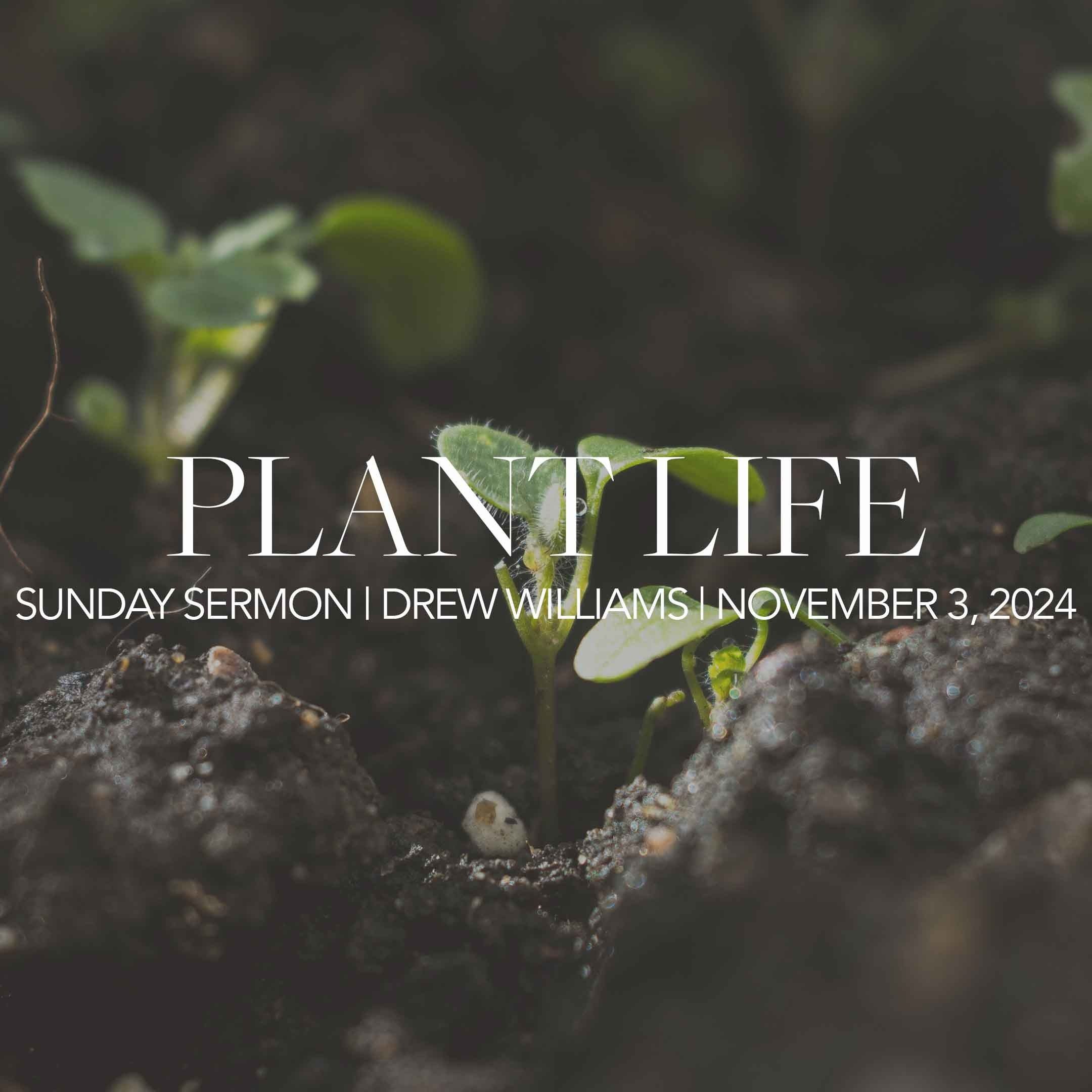 Plant Life