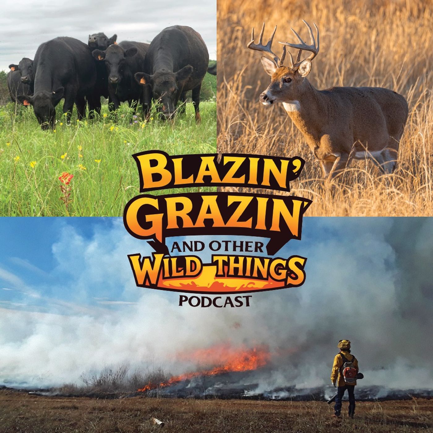 Blazing Trails for Quail Across the Great Plains - BGWT 107