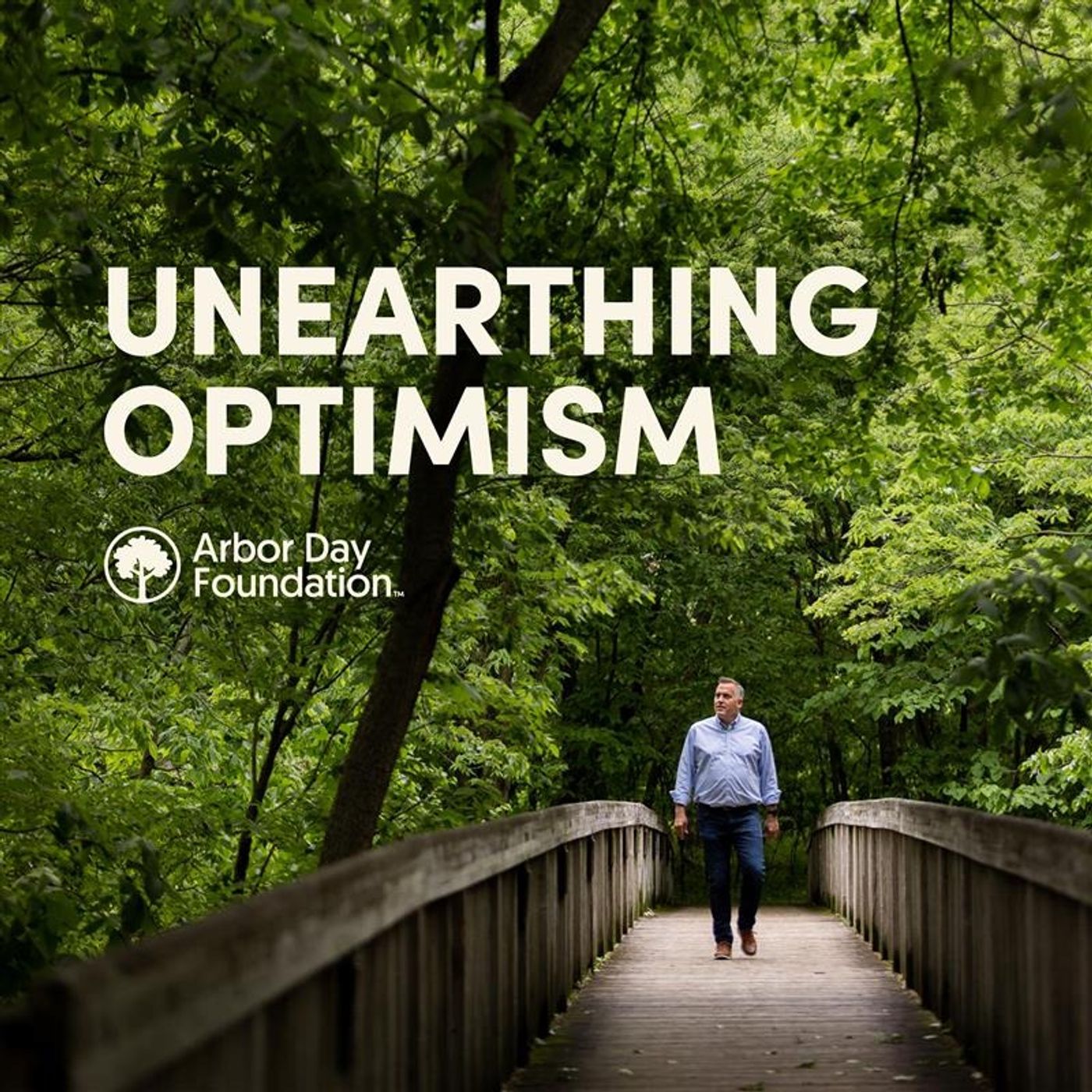 Unearthing Optimism