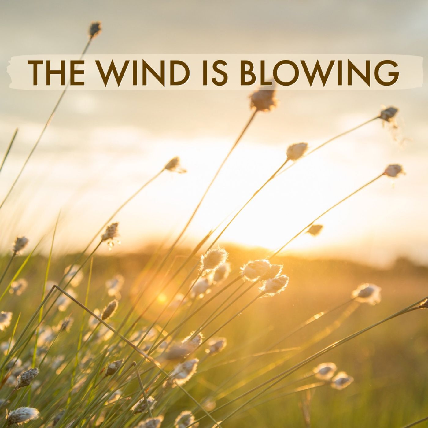 The Wind Is Blowing
