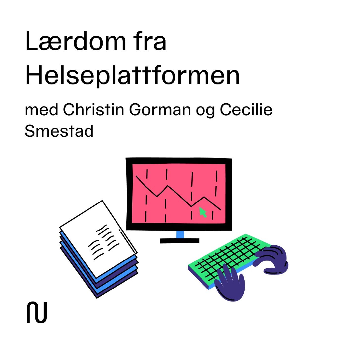 Lærdom fra Helseplattformen