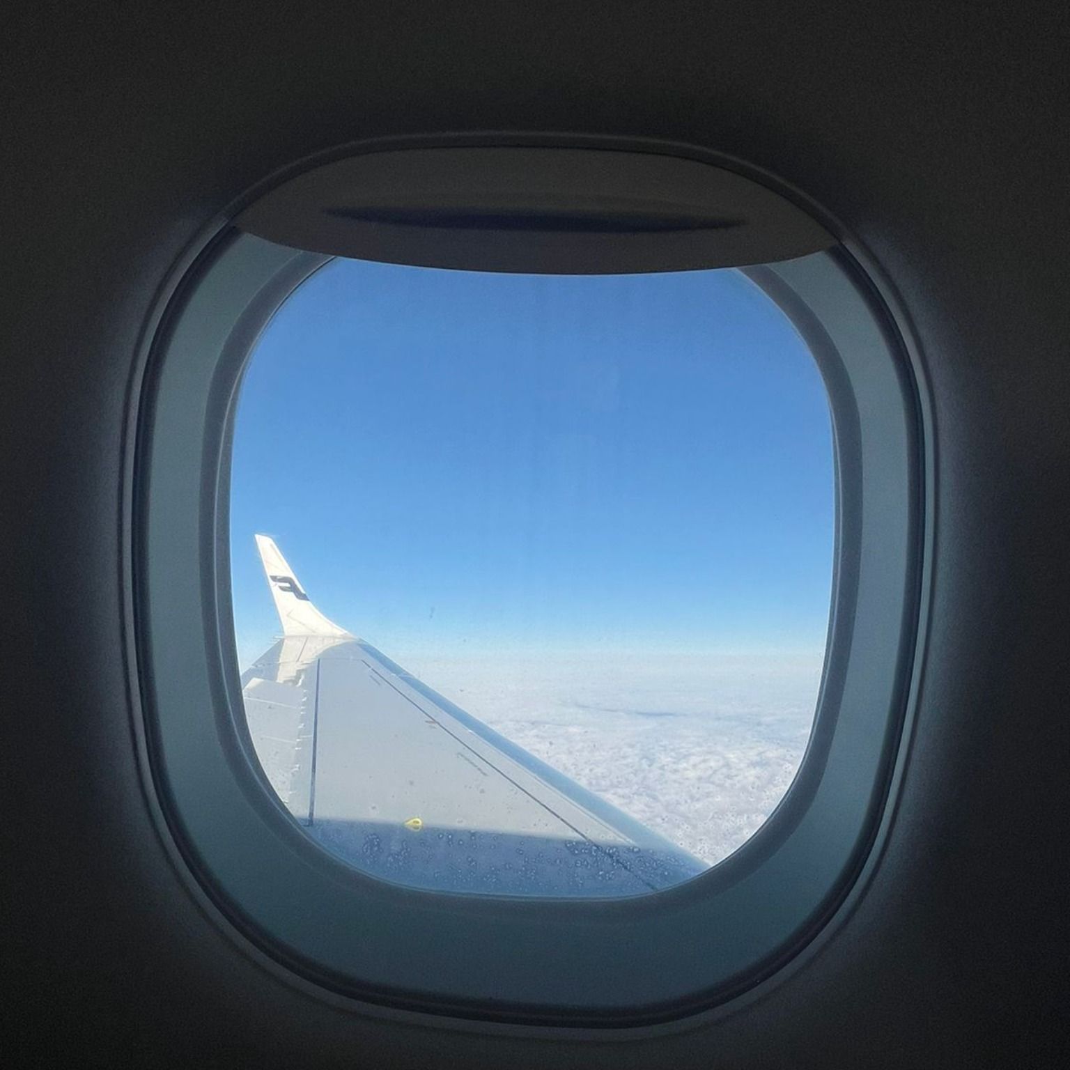 פרק 2: הנחיתה והיום הראשון