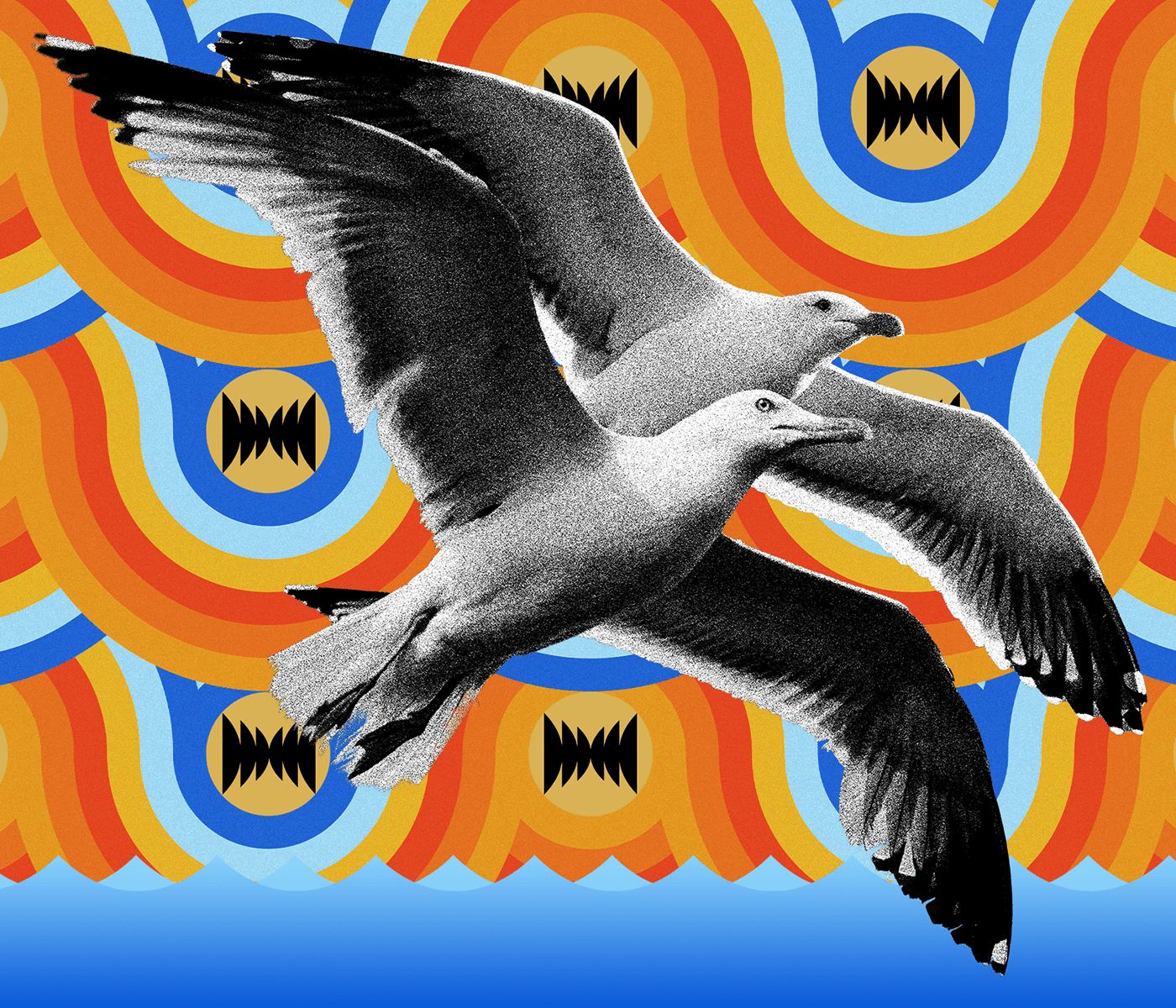 cover of episode The Seagulls