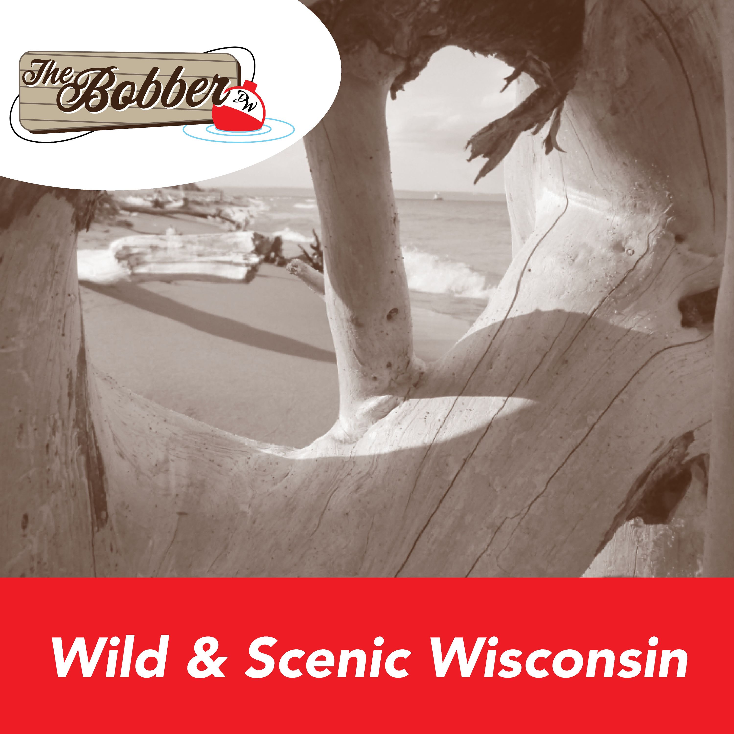 Wild & Scenic Wisconsin: Outdoor Adventures Across the Counties episode artwork