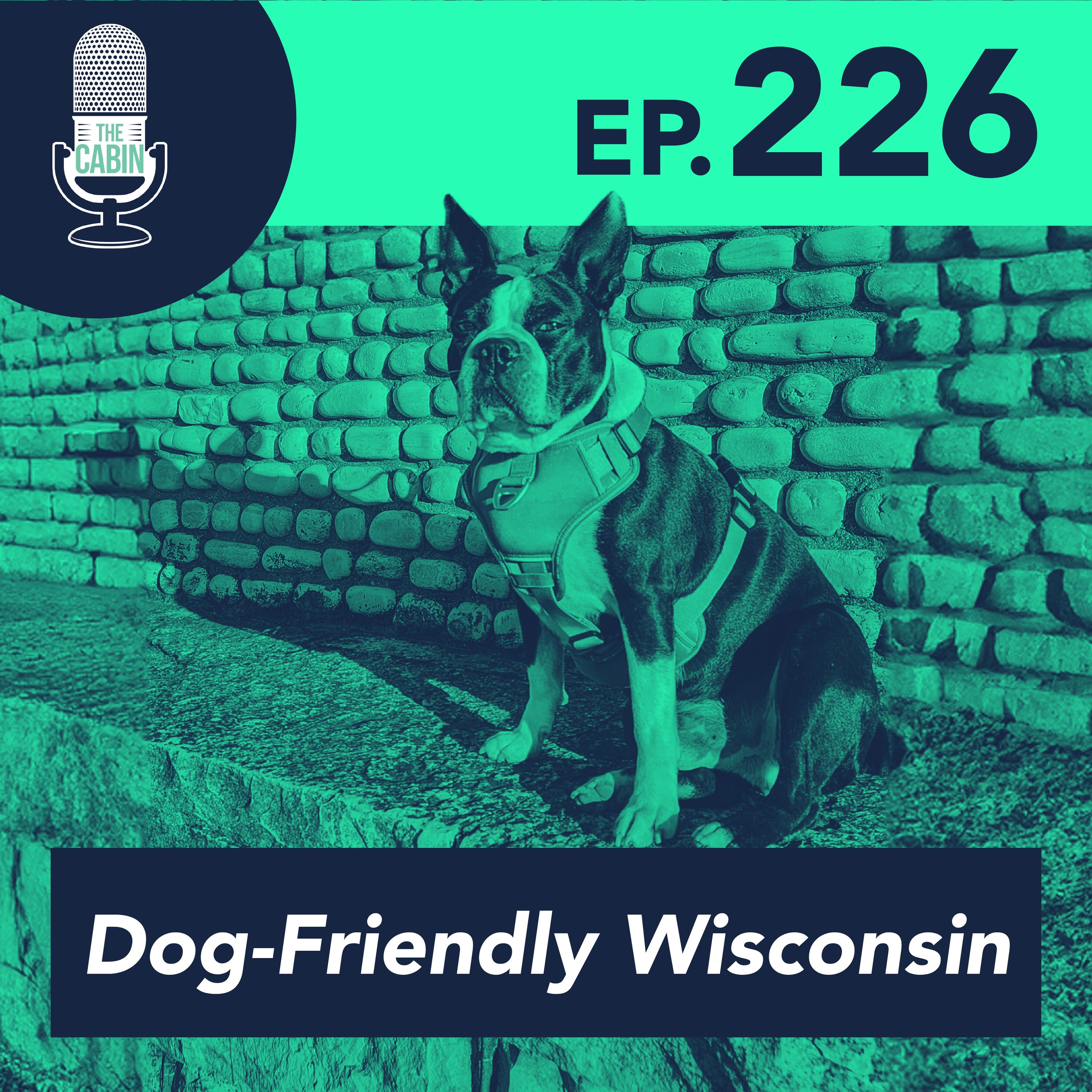 Dog-Friendly Wisconsin: Top Places To Visit This Year With Your Pup (ft. Apurba Banerjee)