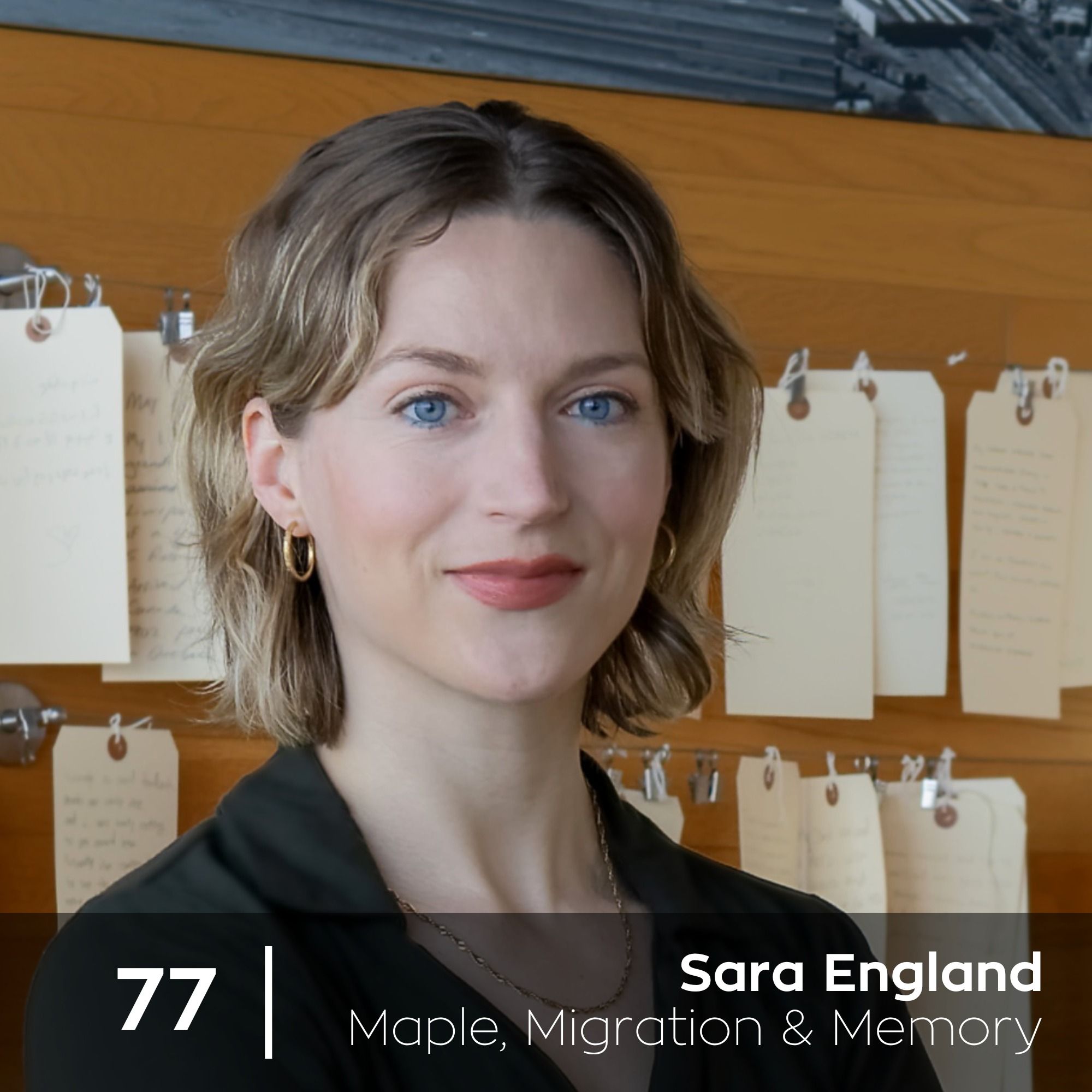 Ep 77. Sara England - Maple, Migration & Memory