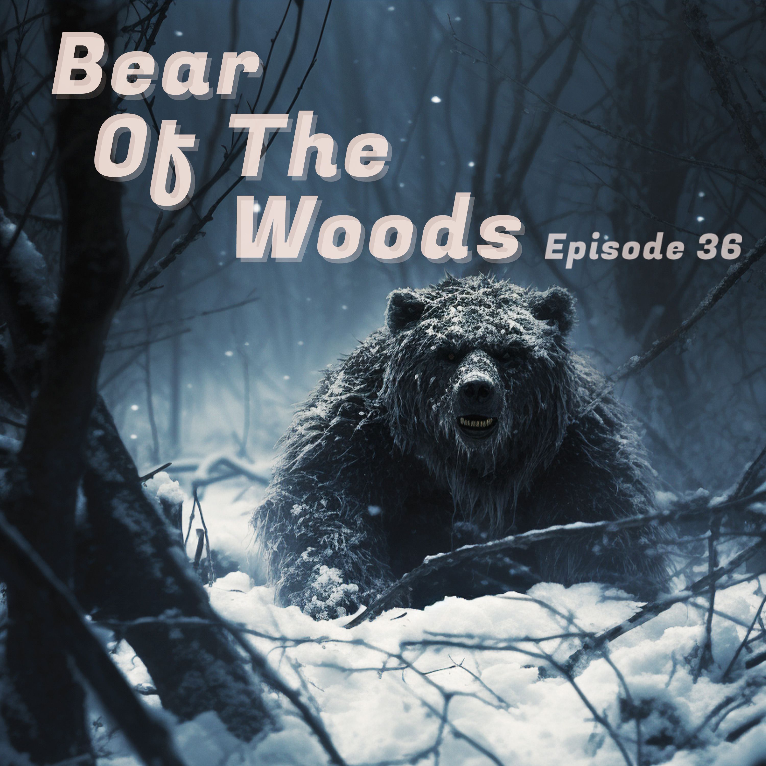 Bear of the Woods