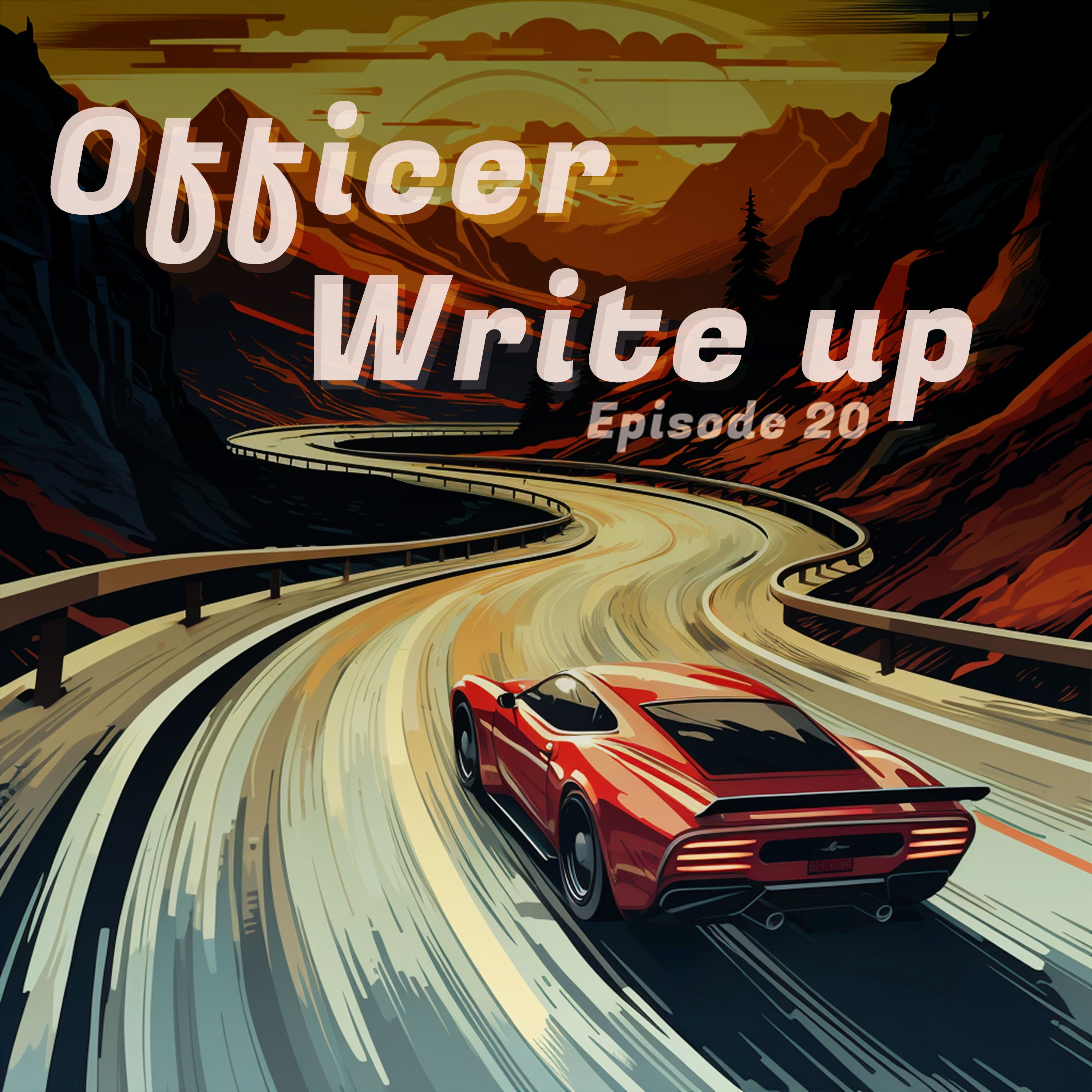 Officer Write Up