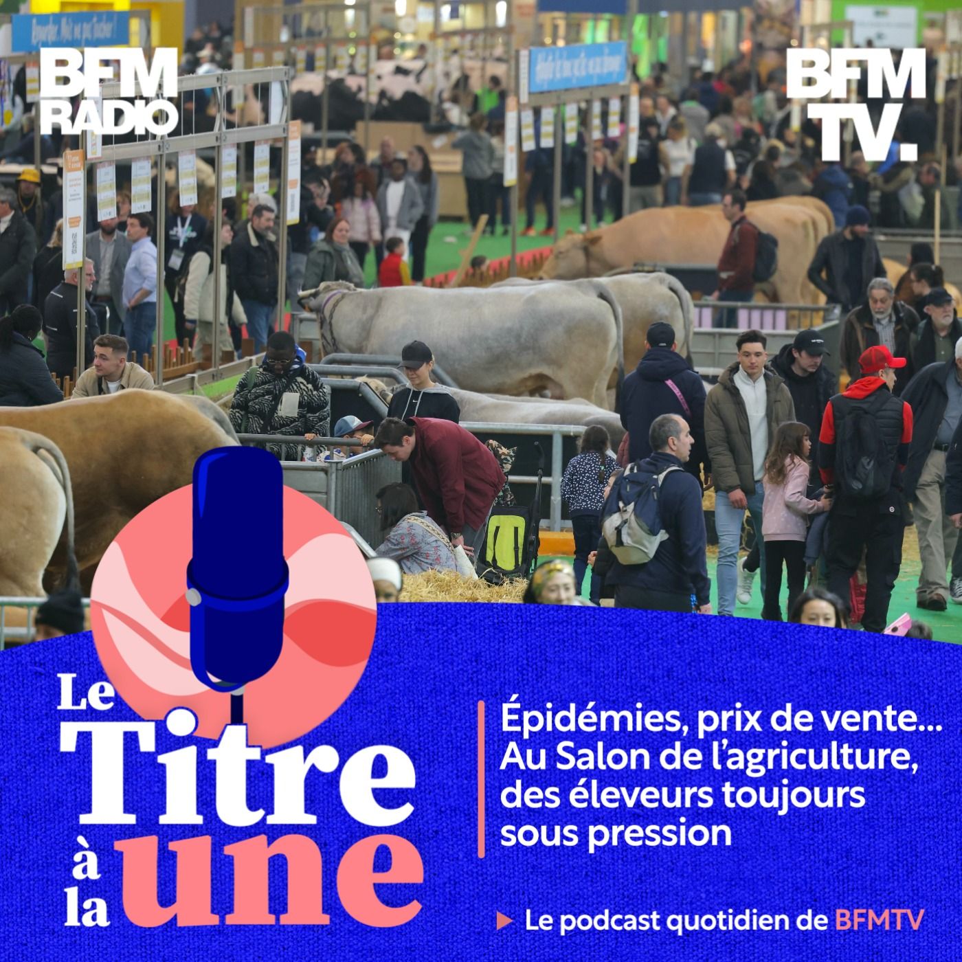 Épidémies, prix de vente… Au Salon de l'agriculture, des éleveurs toujours sous pression