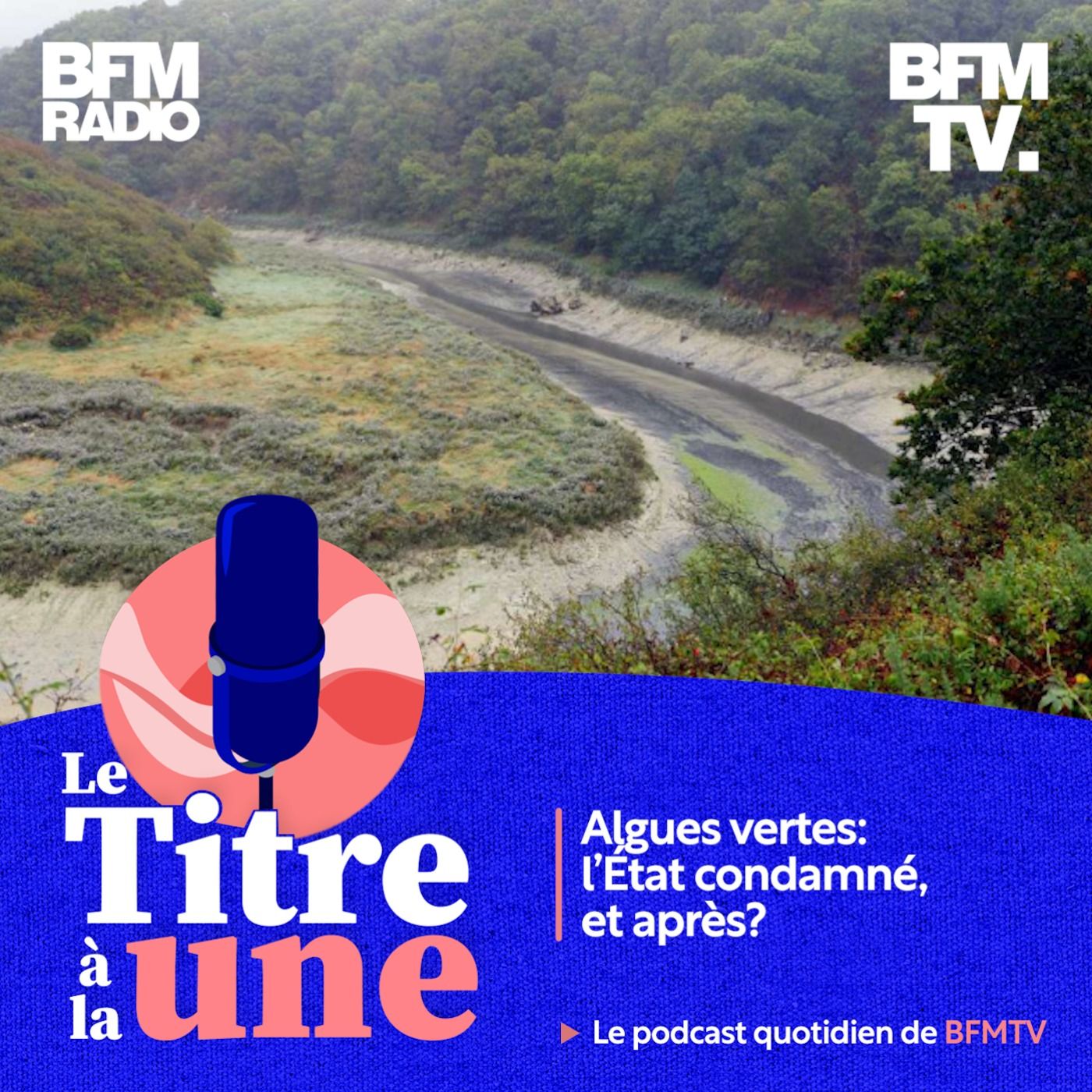Algues vertes: l’État condamné, et après?
