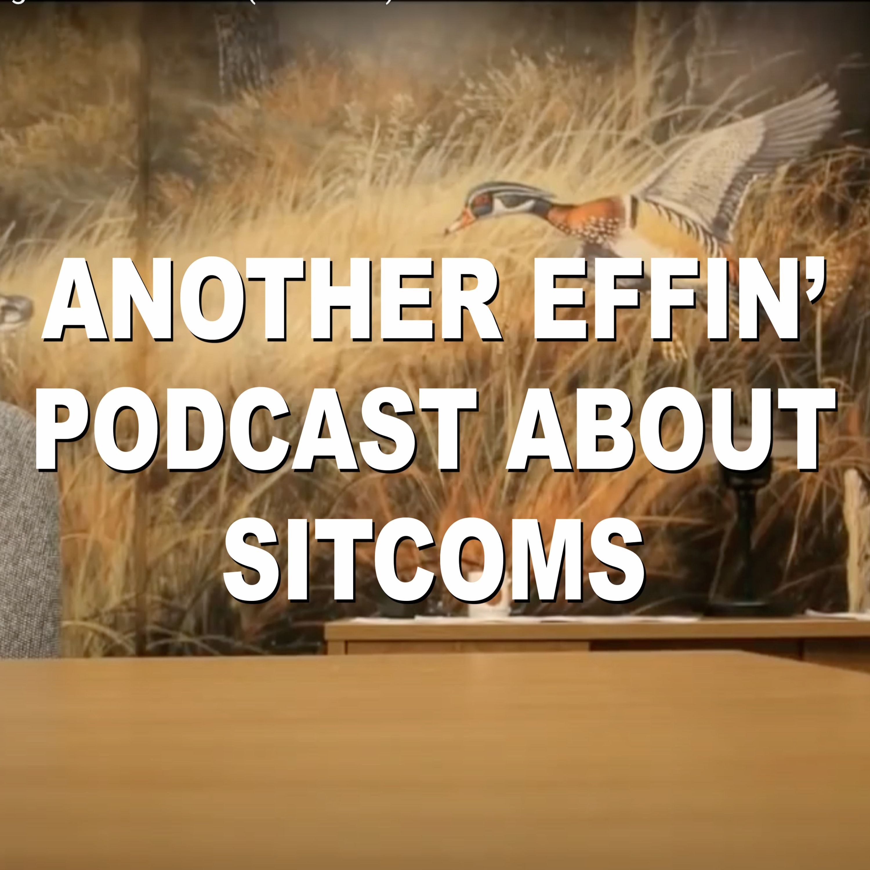 Another Effin\' Podcast About Sitcoms