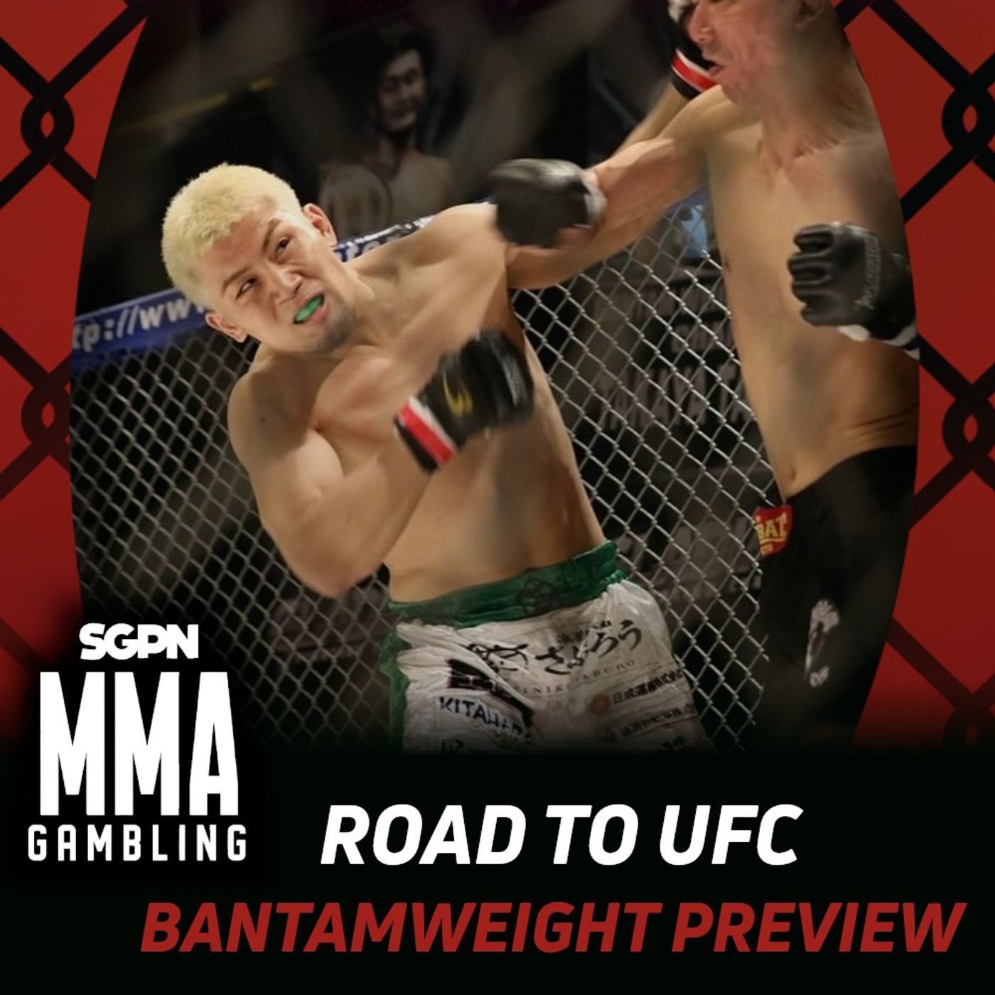 Road to UFC Bantamweight Betting Guide (A Scramble Monster) (Ep.1092)