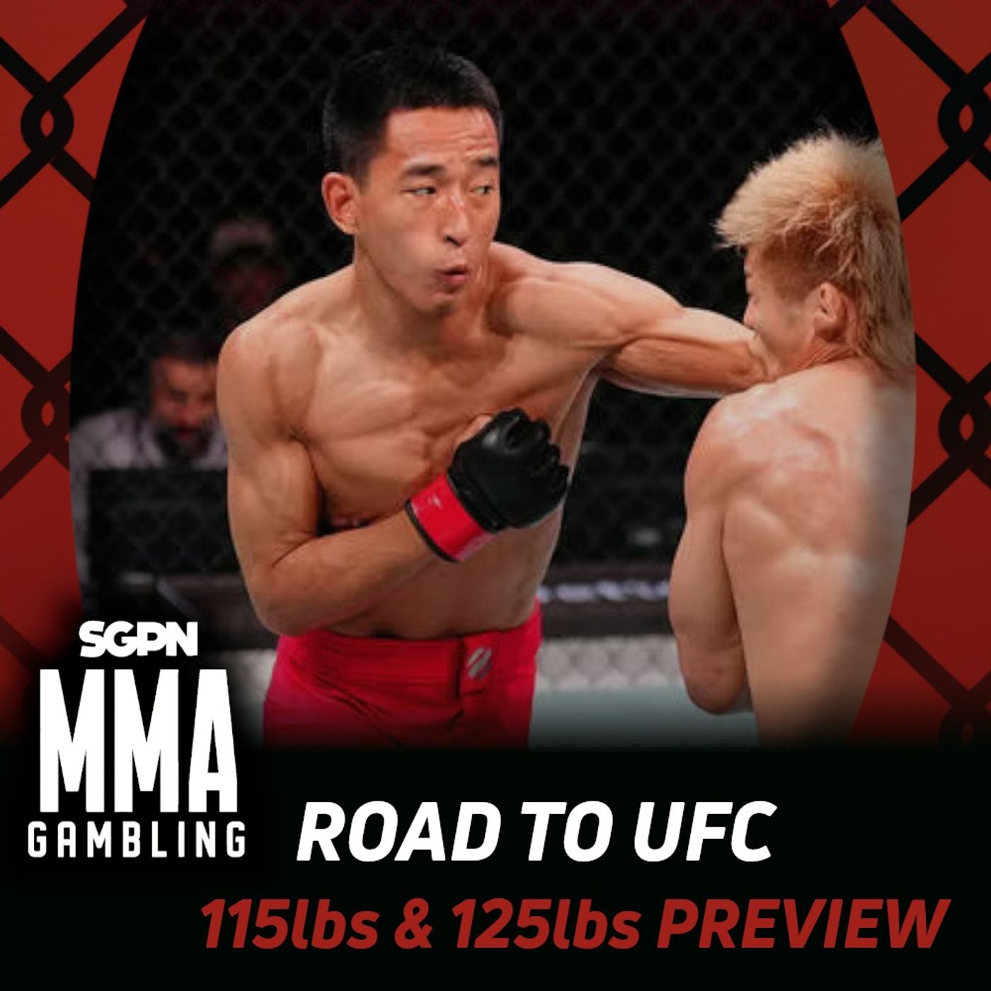 Road to UFC Strawweight & Flyweight Betting Guide (Getting Nasty in a Phone Booth) | MMA Gambling Podcast (Ep.1157) episode artwork