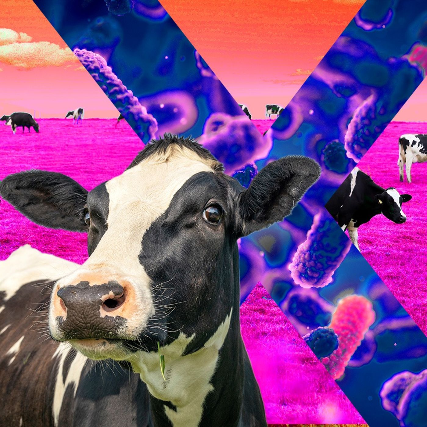 Solve for X: Innovations to Change the World