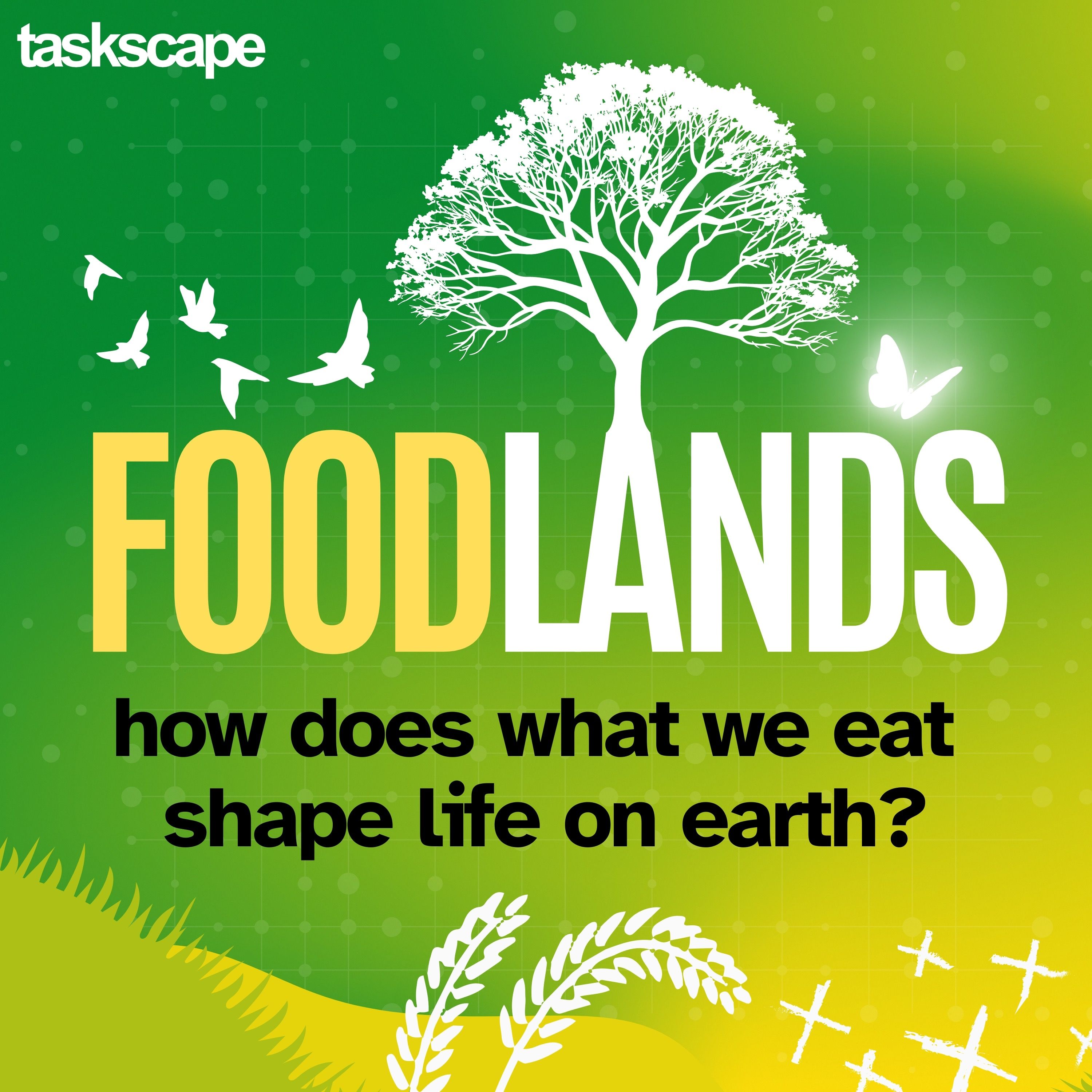 Foodlands Series Trailer