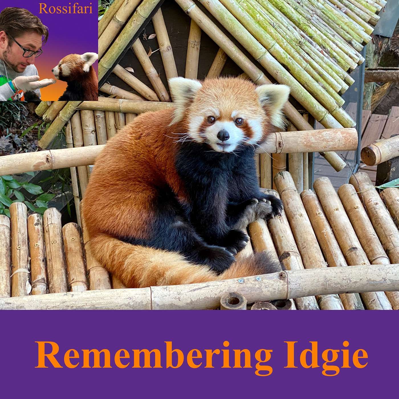 004 - Remembering Idgie with Danica Wolfe of Zoo Atlanta episode artwork