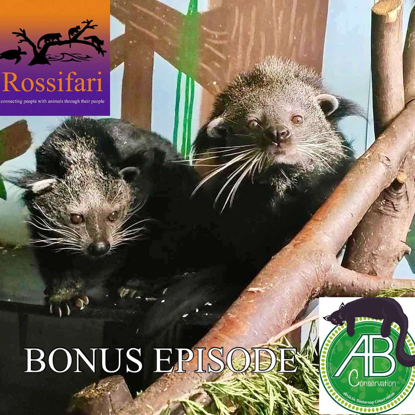 BONUS EPISODE: Haggis the Bintlet! with Kirsty MacDonald episode artwork