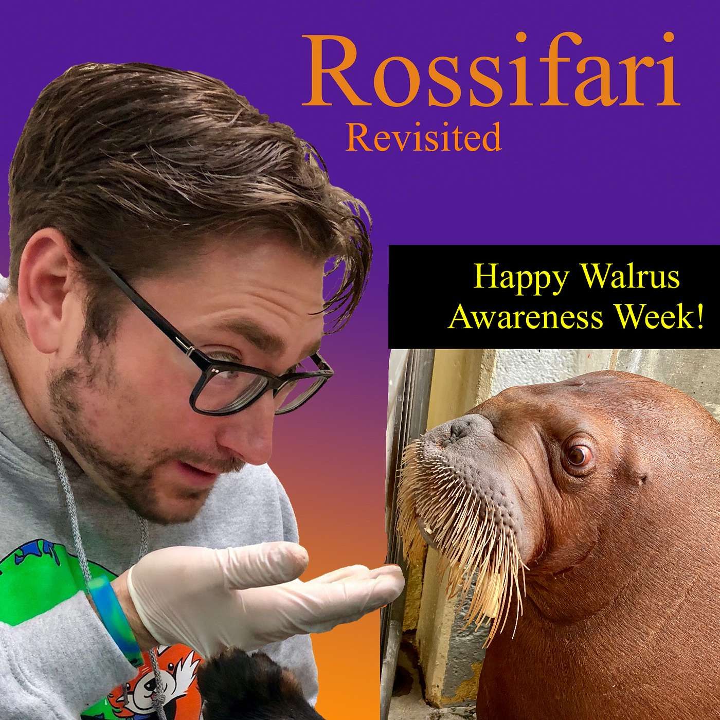 Bonus Episode - Rossifari Revisited - Walrus Awareness Week with Erika Allen of the Indianapolis Zoo episode artwork