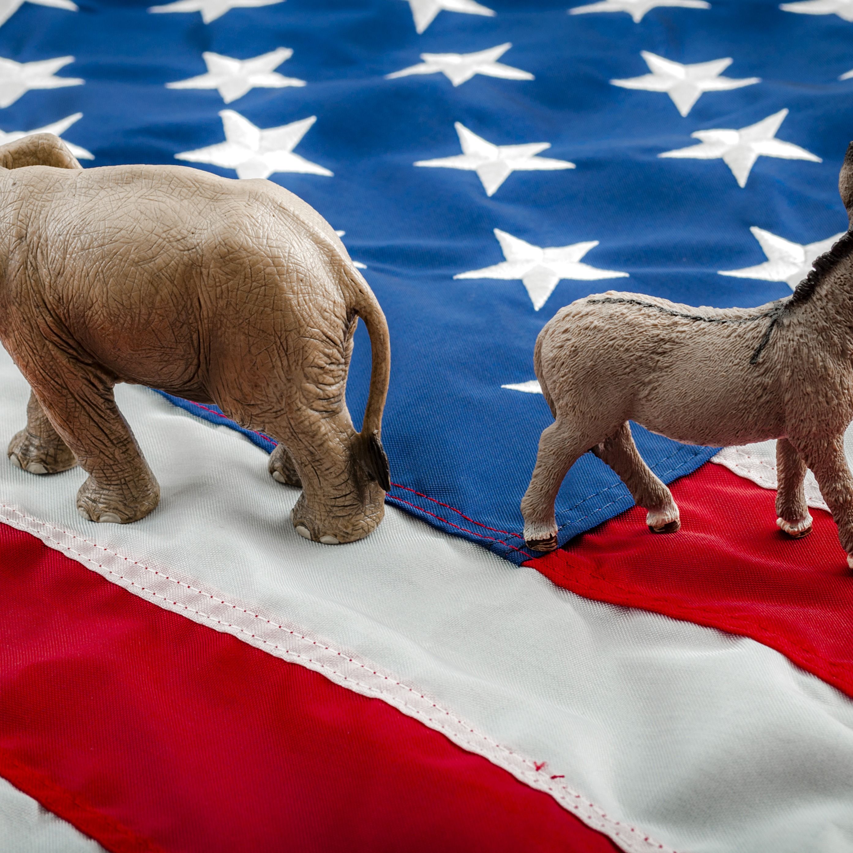 Why everyone hates white liberals, with Kevin Schultz Why everyone hates white liberals, with Kevin Schultz