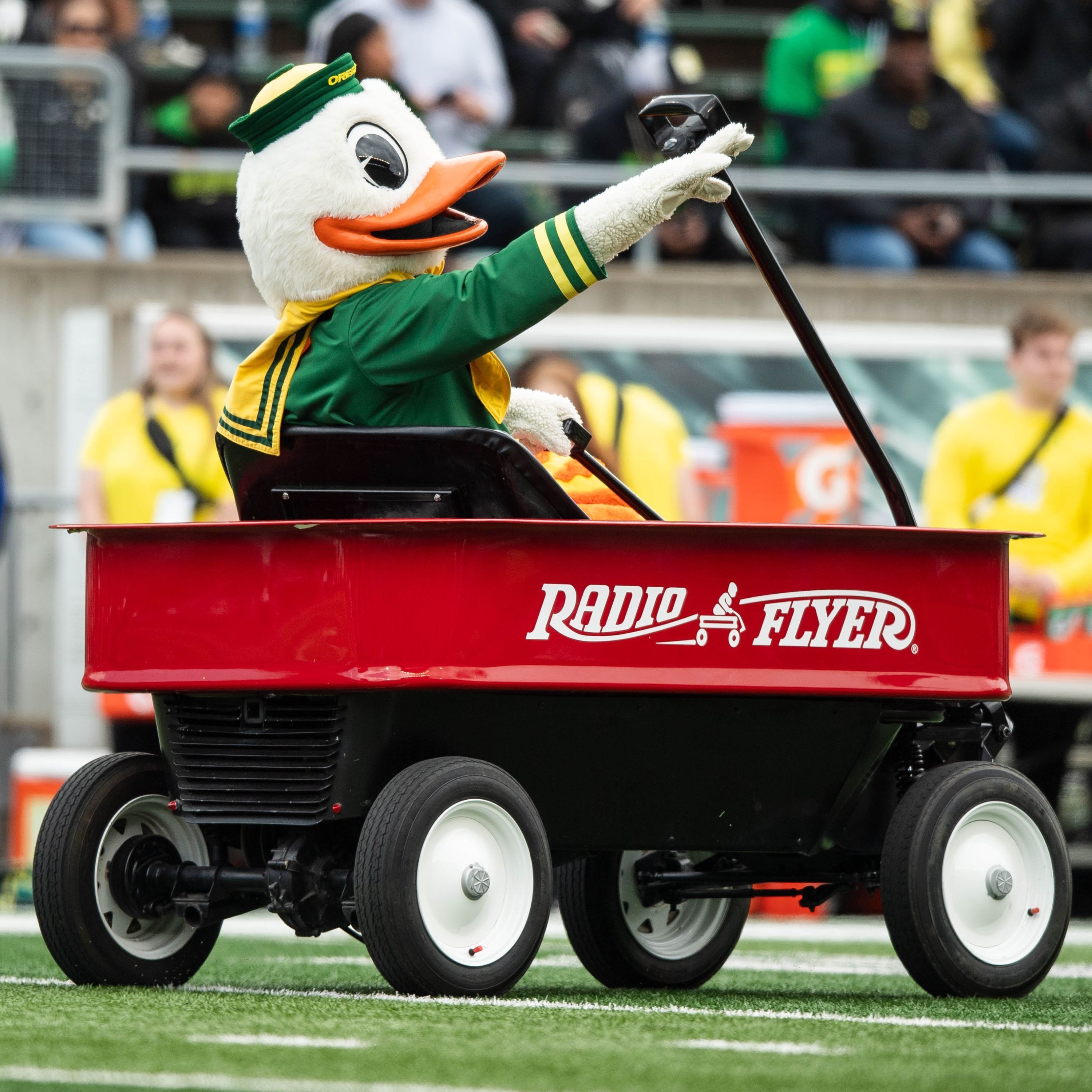 667. Tuesday With Ted: Oregon Football's 2025 Season is Here!
