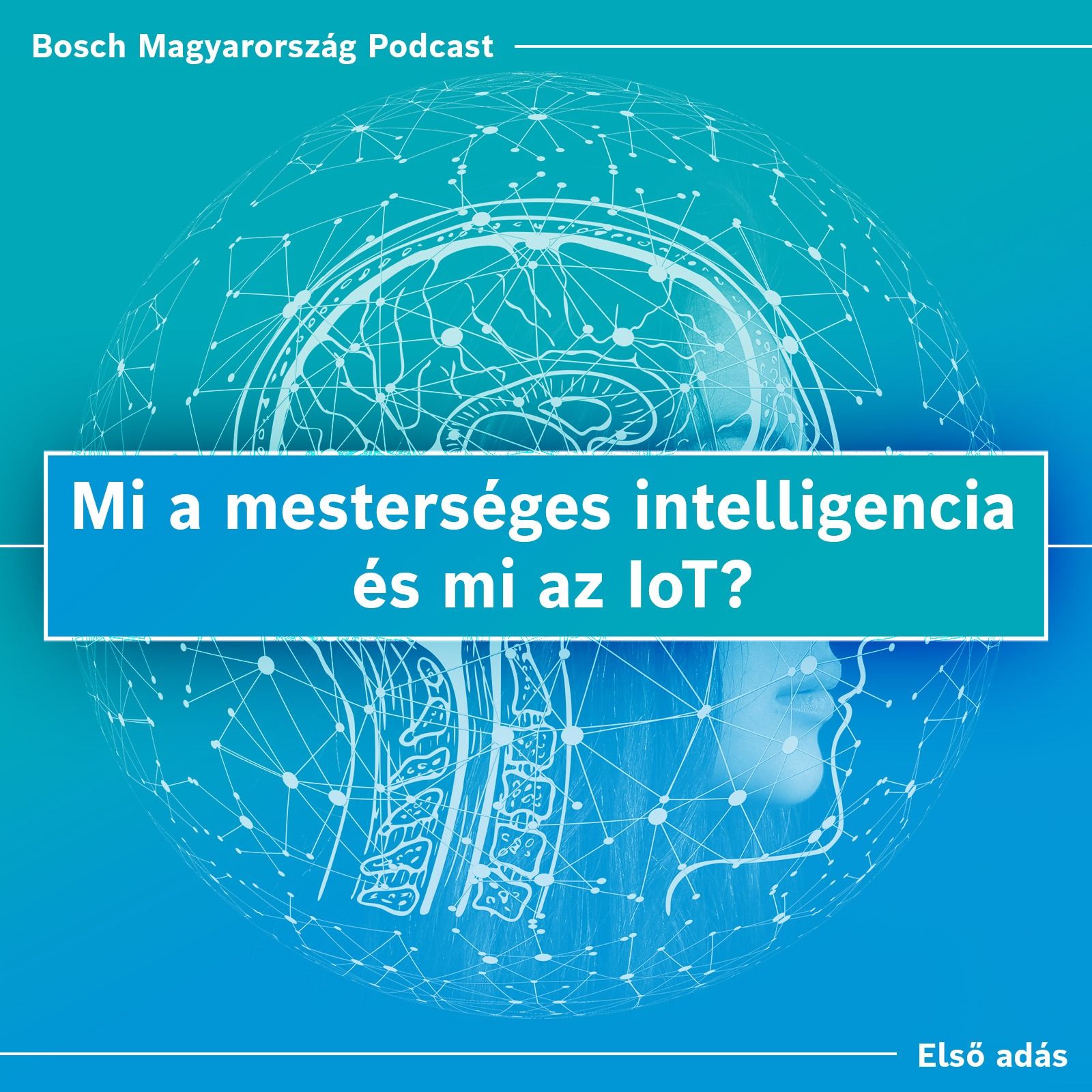 Mi a mesterséges intelligencia és mi az IoT? | Beszélgetés Dr. Tilesch Györggyel & Dr. Szászi Istvánnal episode artwork