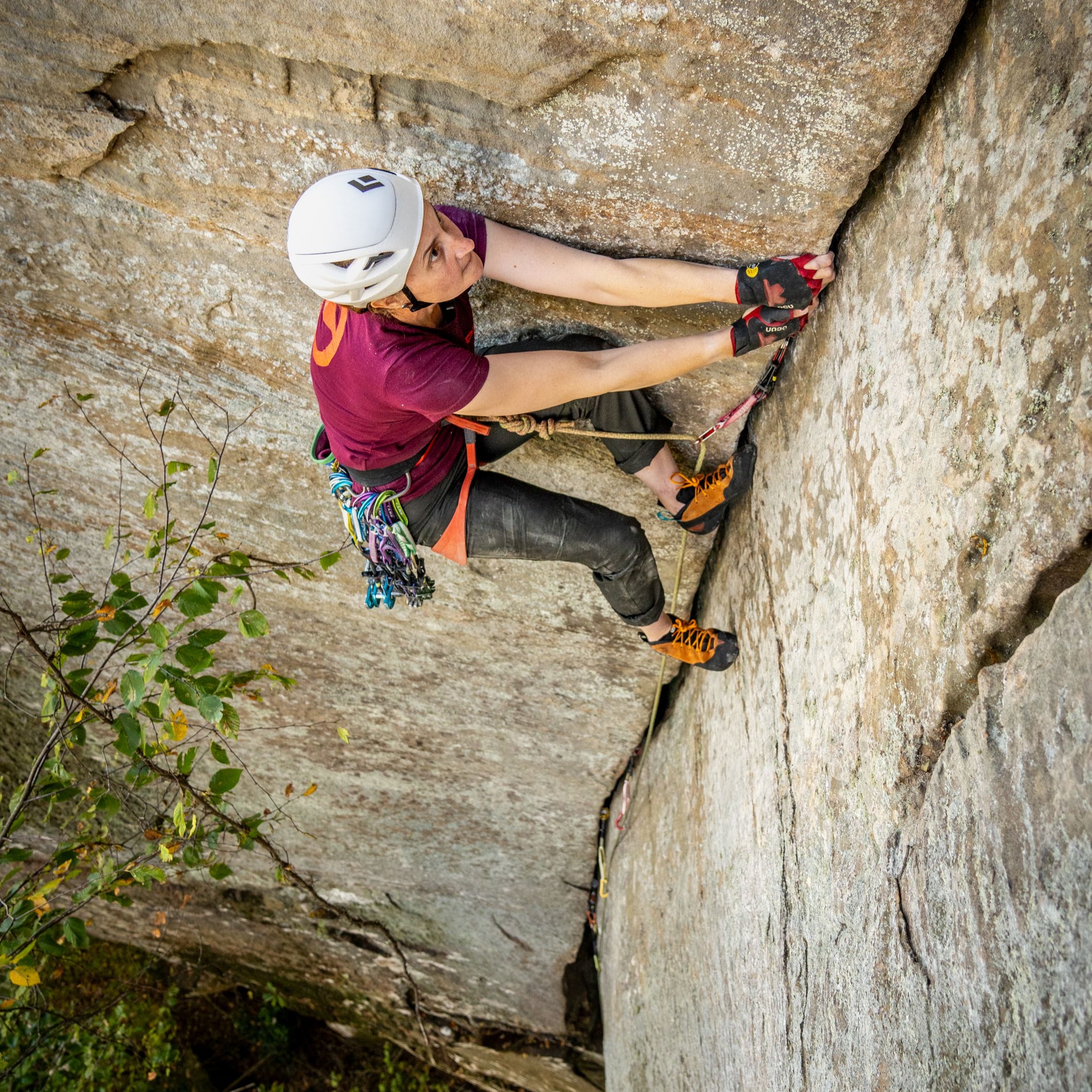BAFFLE DAYS - Australian Climbing